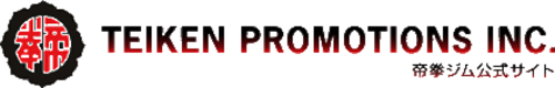 Teiken Promotions Logo