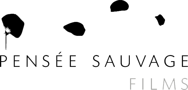 Pensée Sauvage Films Logo