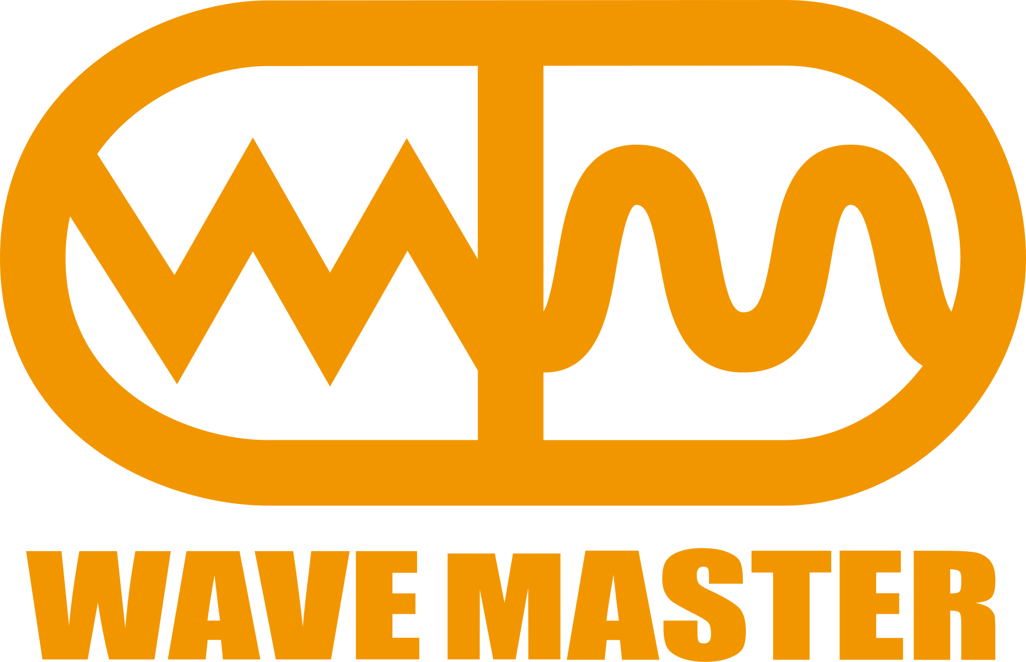 WAVE MASTER Logo