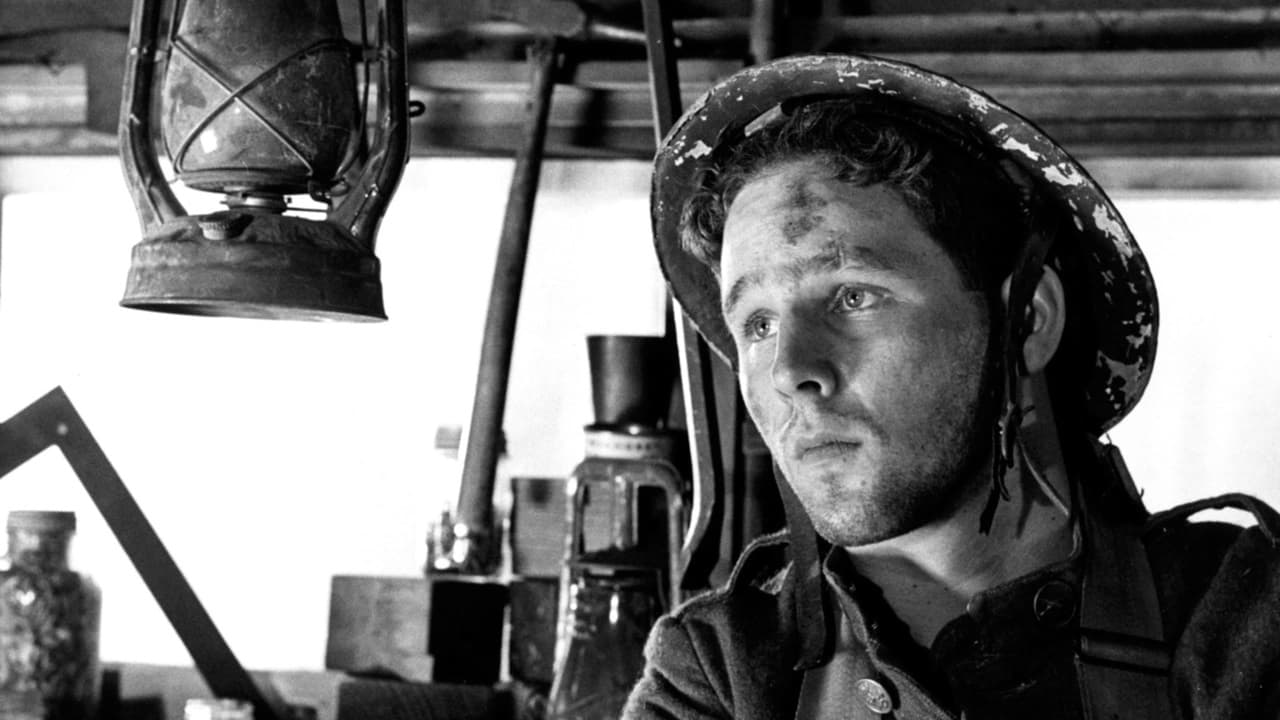 Видео к фильму Джонни взял ружье | Johnny Got His Gun - DVD Trailer