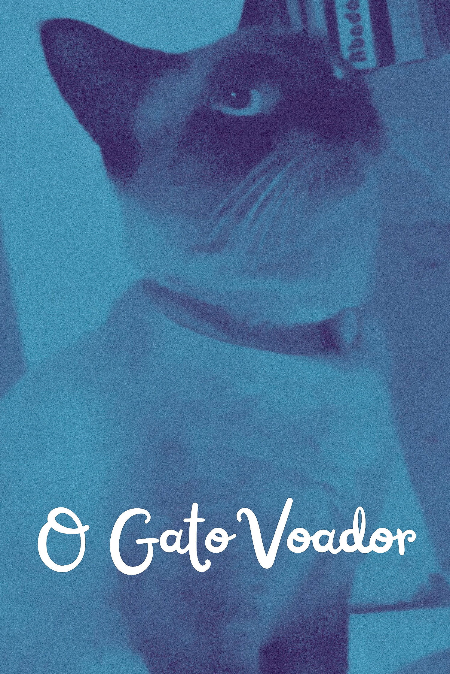 Постер к фильму "O gato voador" #984733