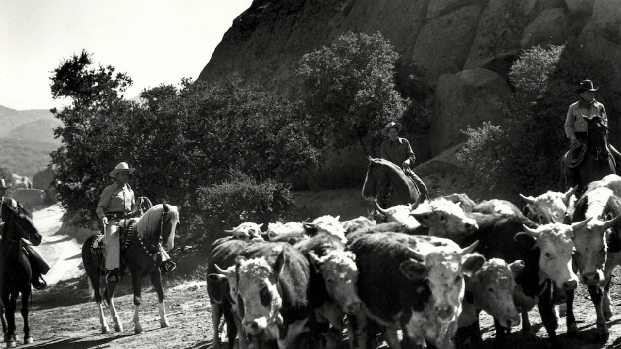 Видео к фильму Riders in the Sky | Riders In The Sky 1967 HD Film Trailer