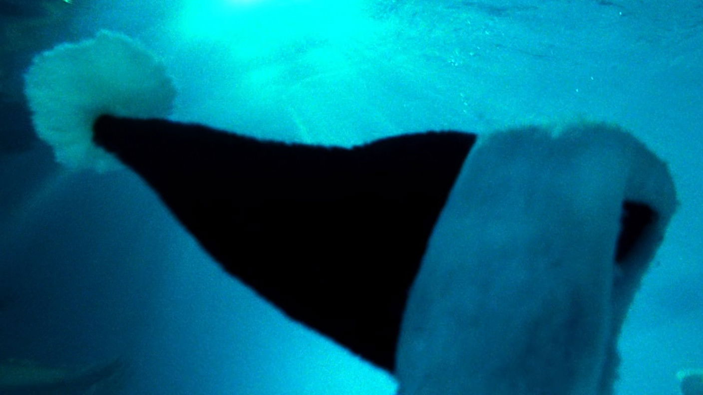 Видео к фильму Поцелуй навылет | Поцелуй навылет - дублированный трейлер