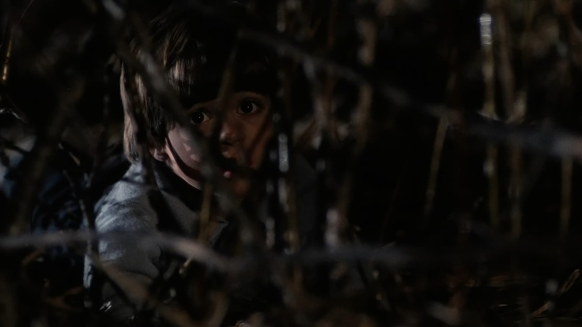 Видео к фильму Тихая ночь, смертельная ночь | Silent Night, Deadly Night - Bonus Clip: The Cast & Crew On The Audience's Reaction To The Film