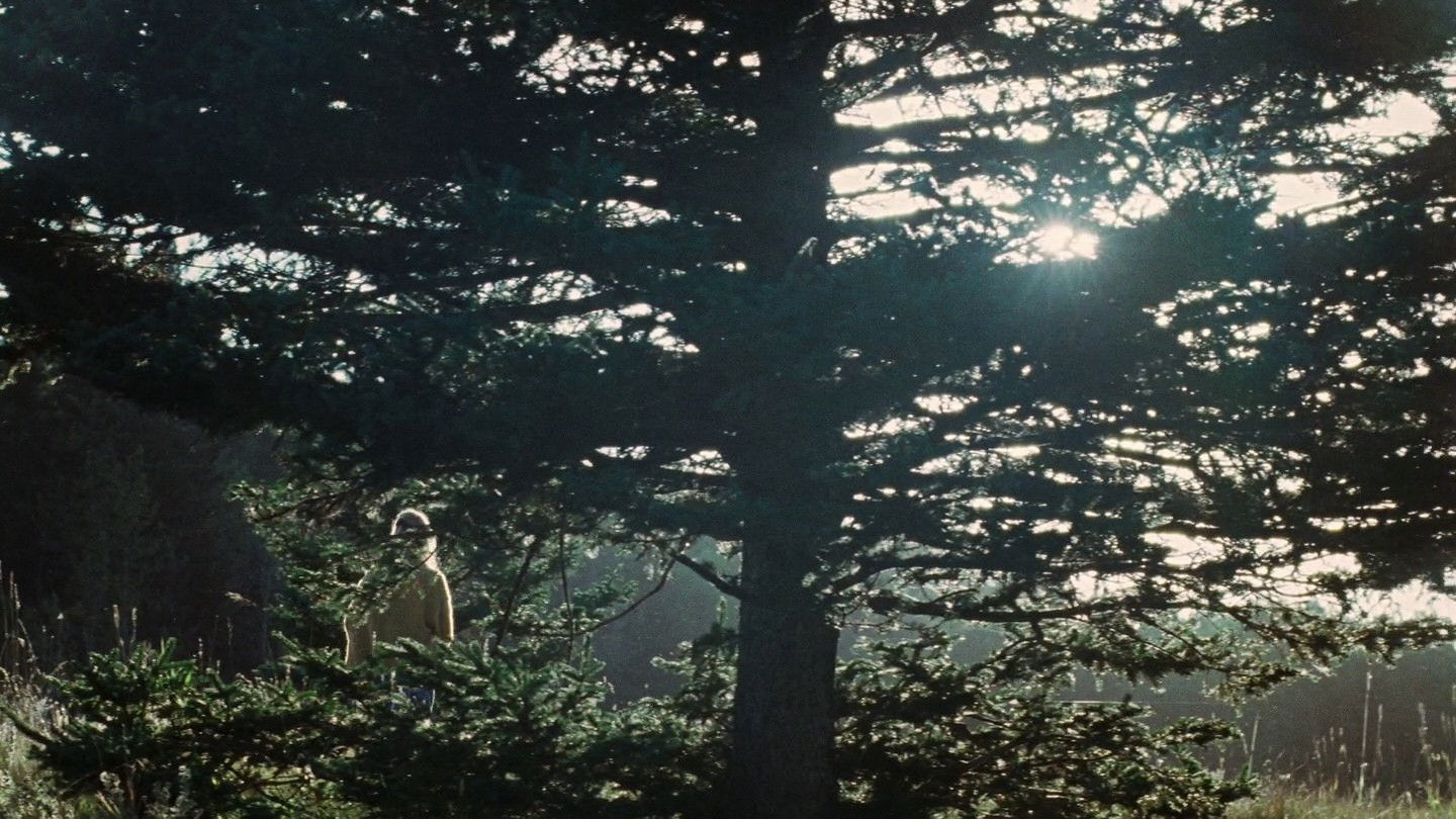 Видео к фильму Умри, моя любовь | Jennifer Lawrence & Martin Scorsese In Conversation