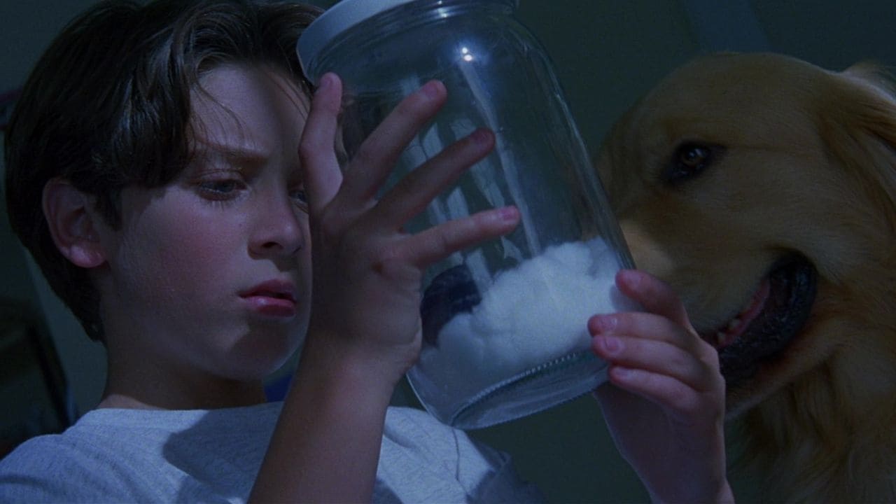 Видео к фильму Доблестные воины | Warriors Of Virtue (1997) 35mm film trailer, flat hard matte, 4K trichromy