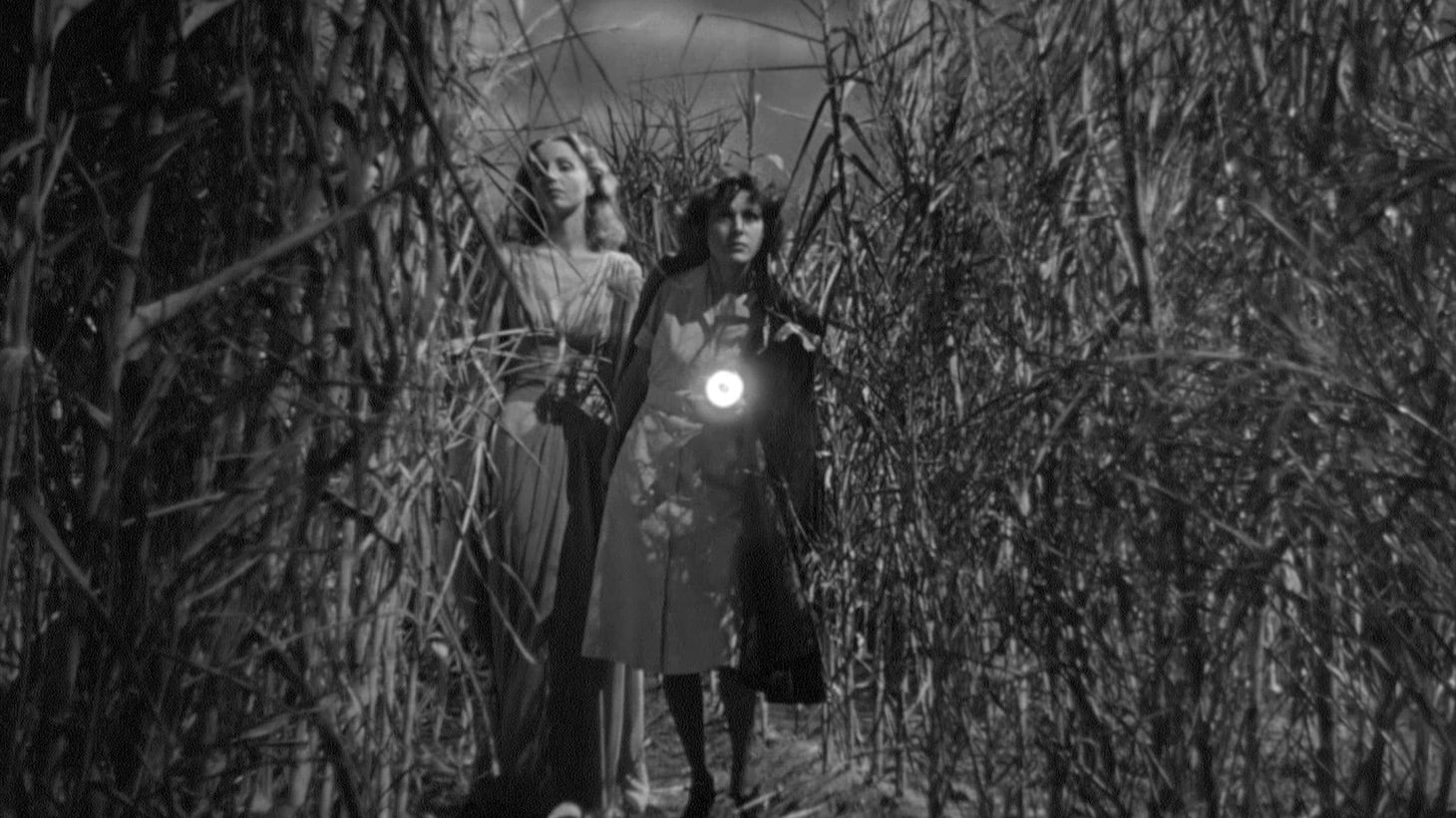 Видео к фильму Я гуляла с зомби | Katt Shea on I WALKED WITH A ZOMBIE