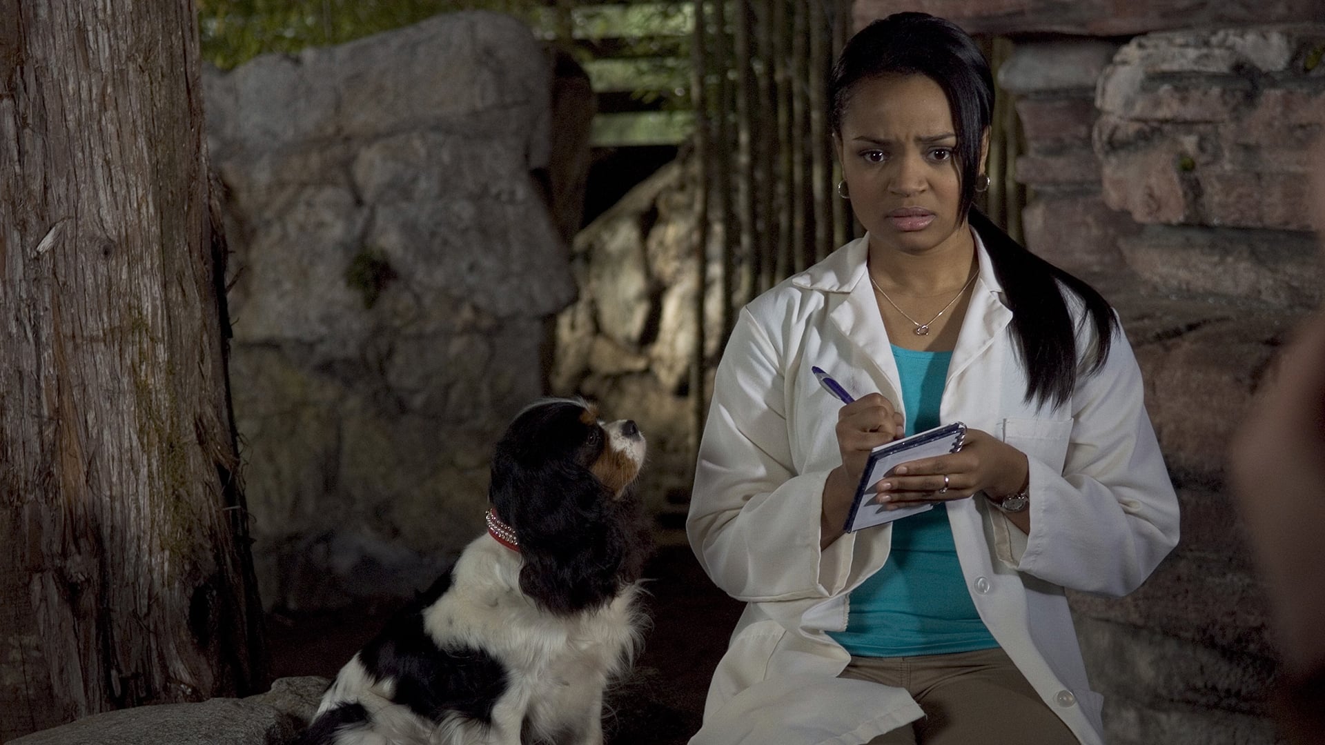 Видео к фильму Доктор Дулиттл 4: Хвост главы | Dr. Dolittle: Tail To The Chief - Trailer