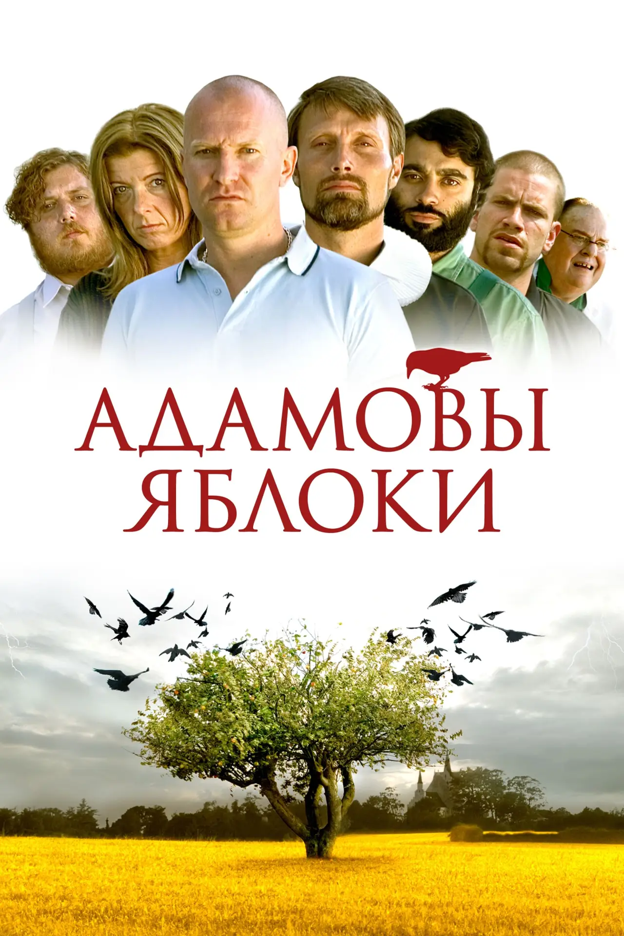 Постер к фильму "Адамовы яблоки"