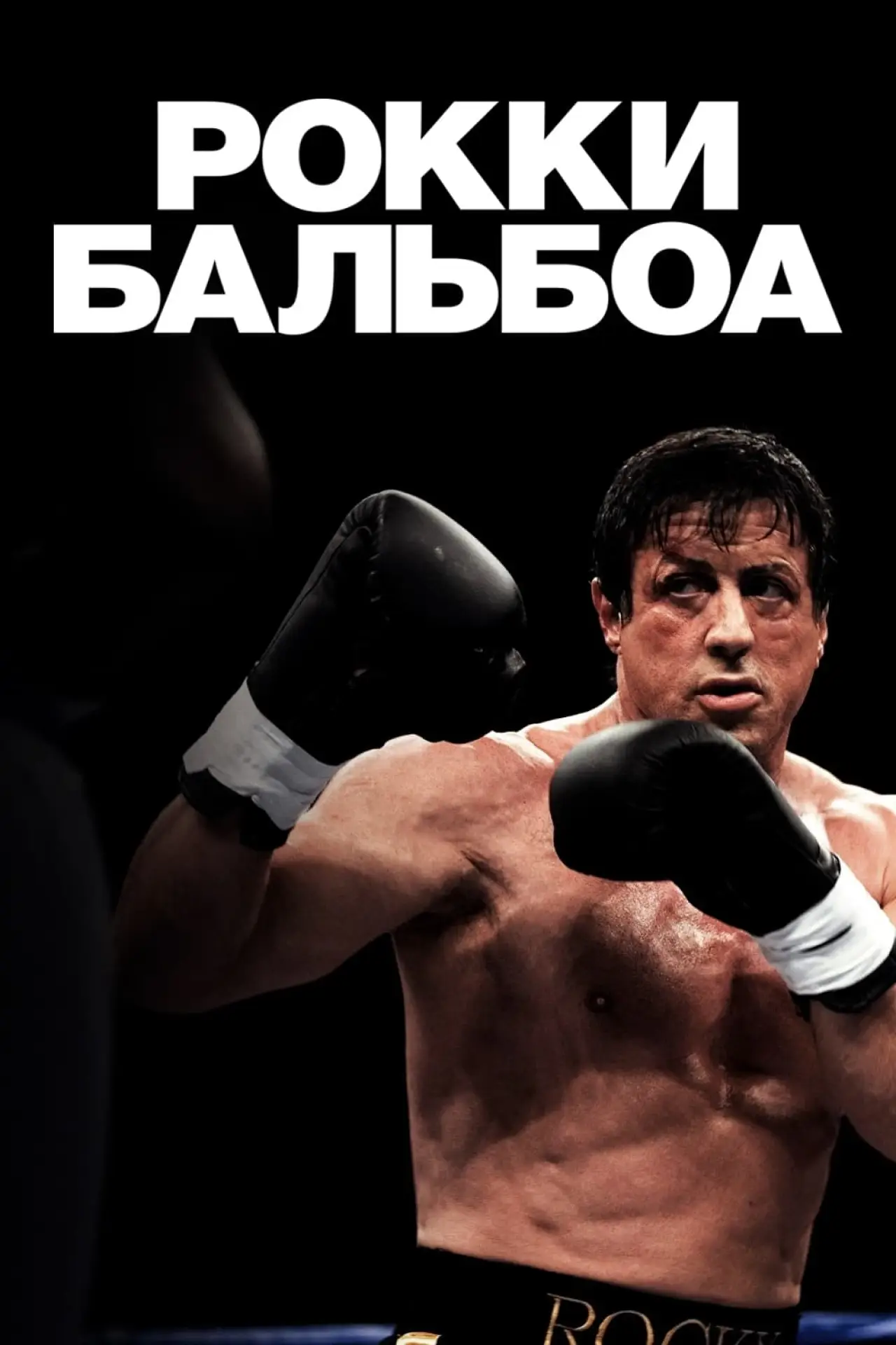 Постер к фильму "Рокки Бальбоа"