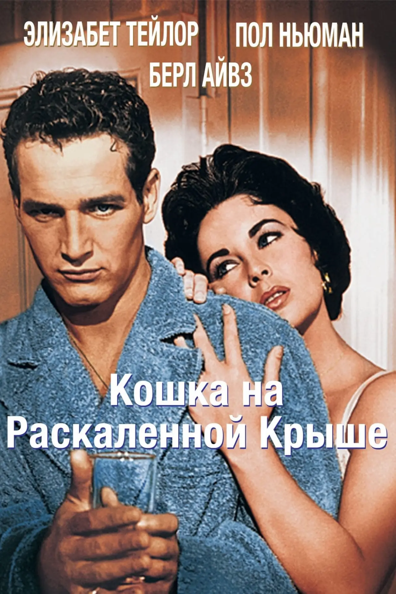 Постер к фильму "Кошка на раскаленной крыше"