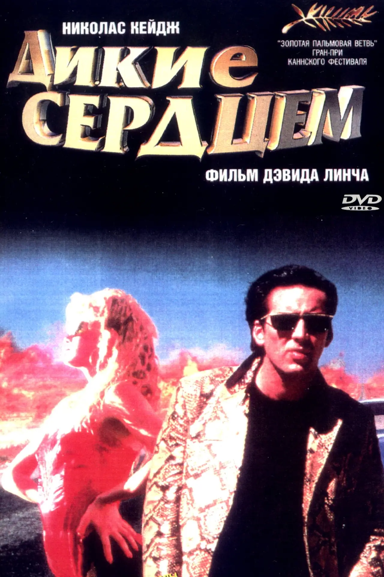 Постер к фильму "Дикие сердцем"