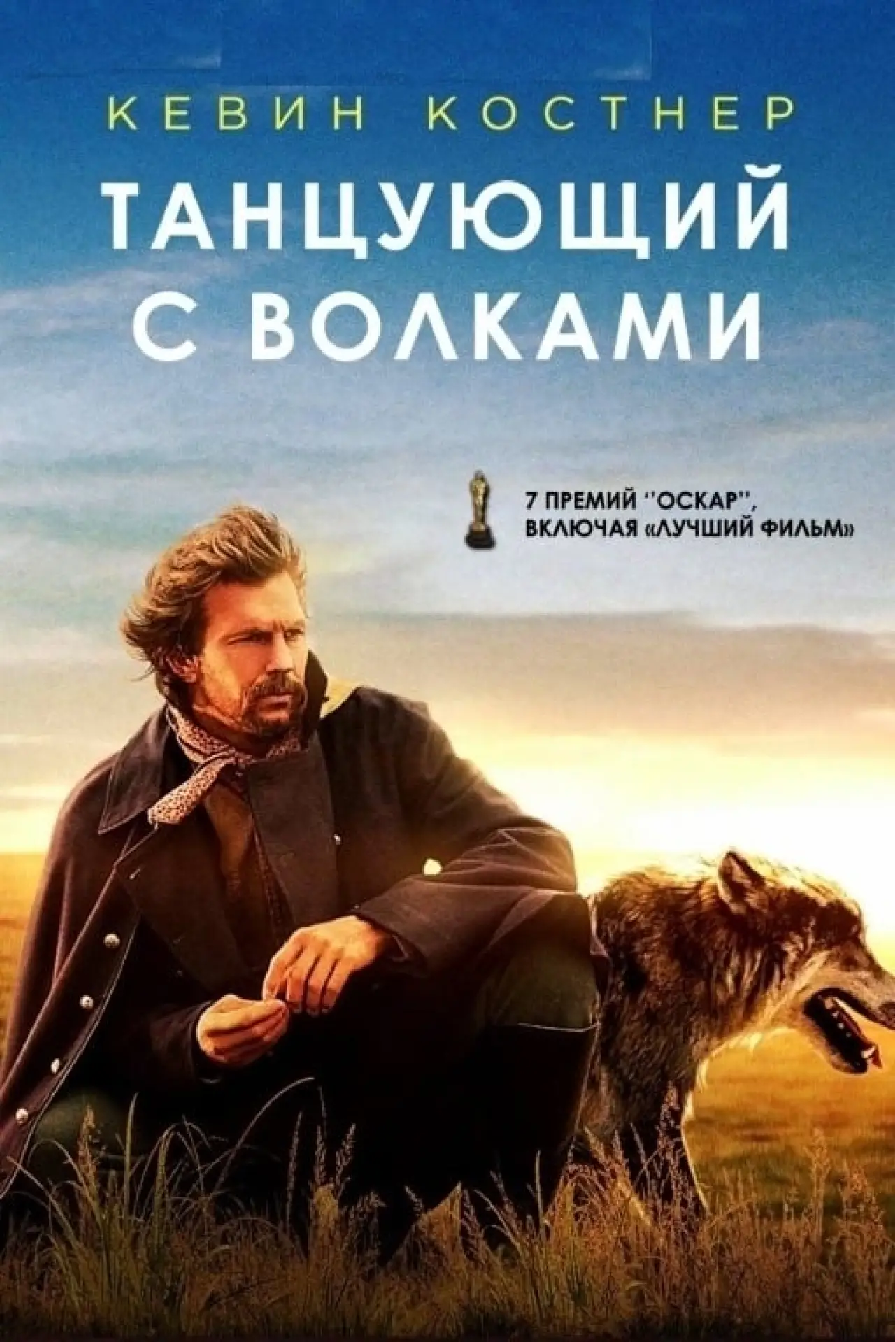 Постер к фильму "Танцующий с волками"