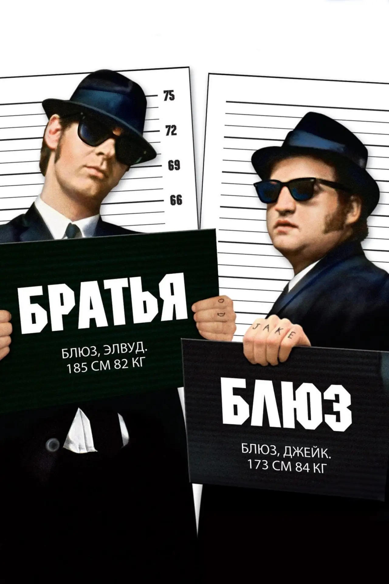 Постер к фильму "Братья Блюз"