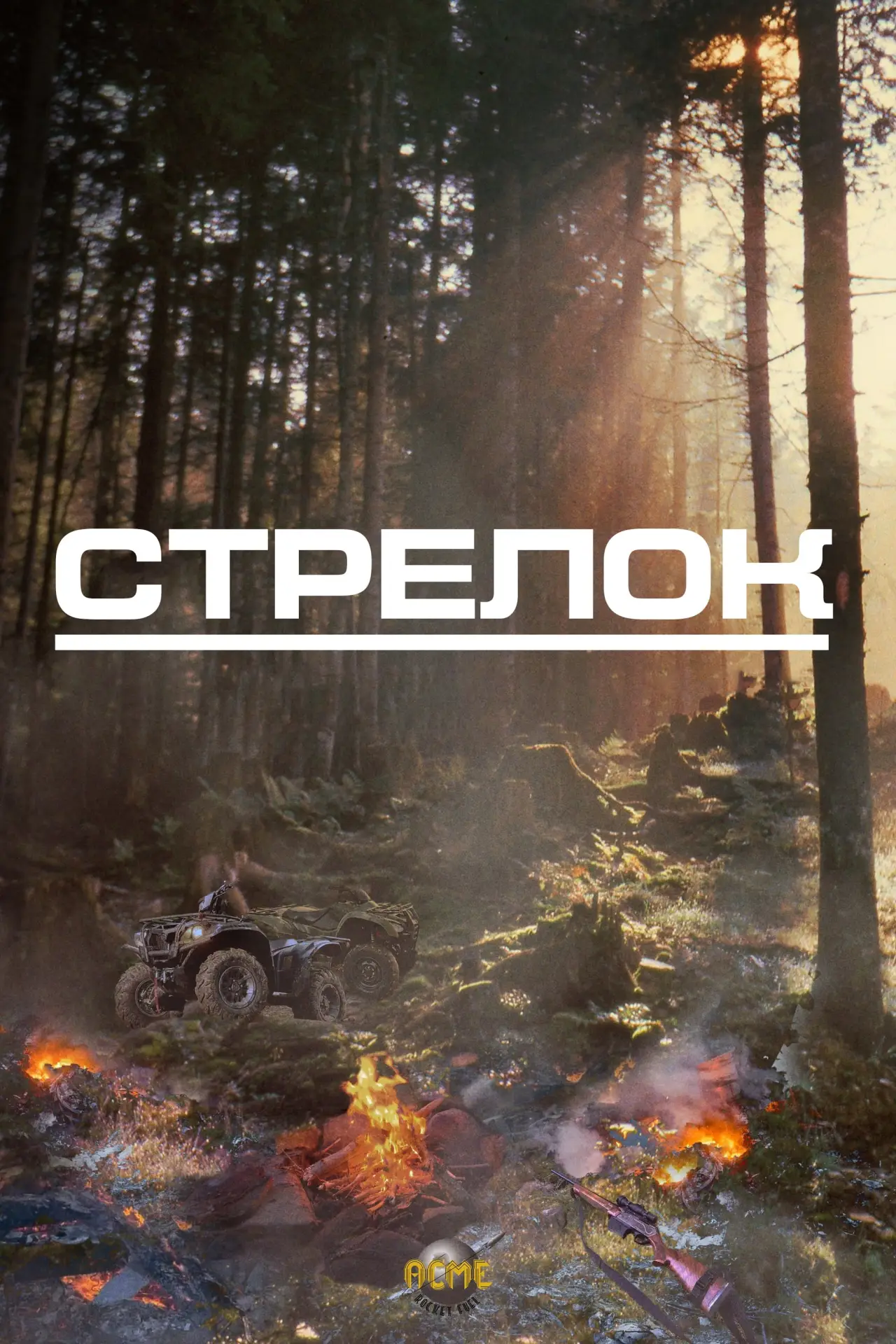Постер к фильму "Стрелок"