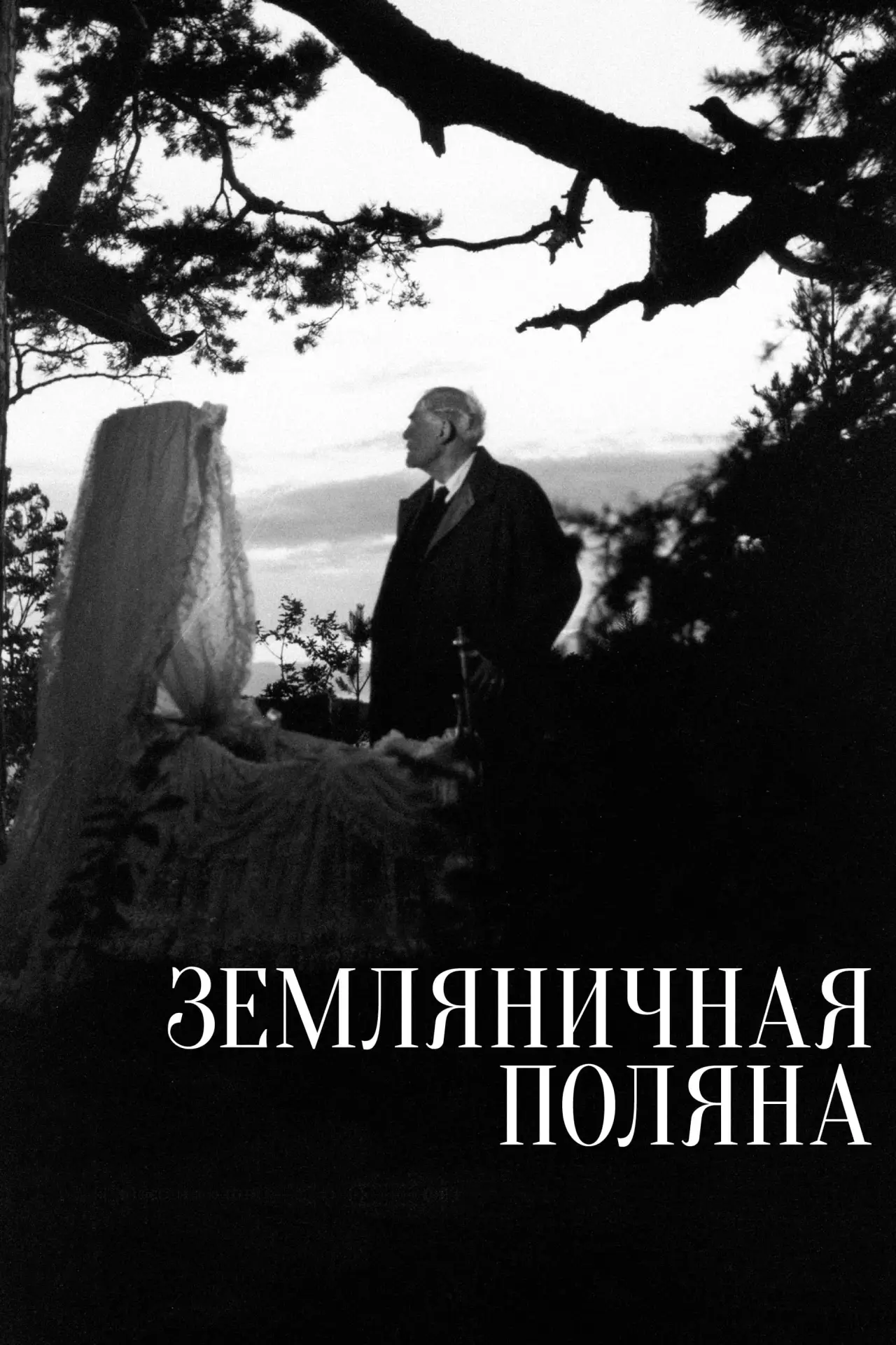 Постер к фильму "Земляничная поляна"
