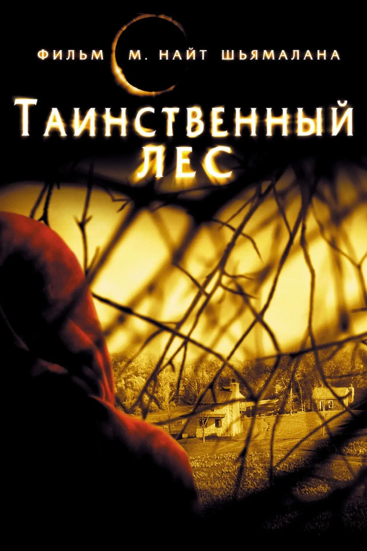 Постер к фильму "Таинственный лес"