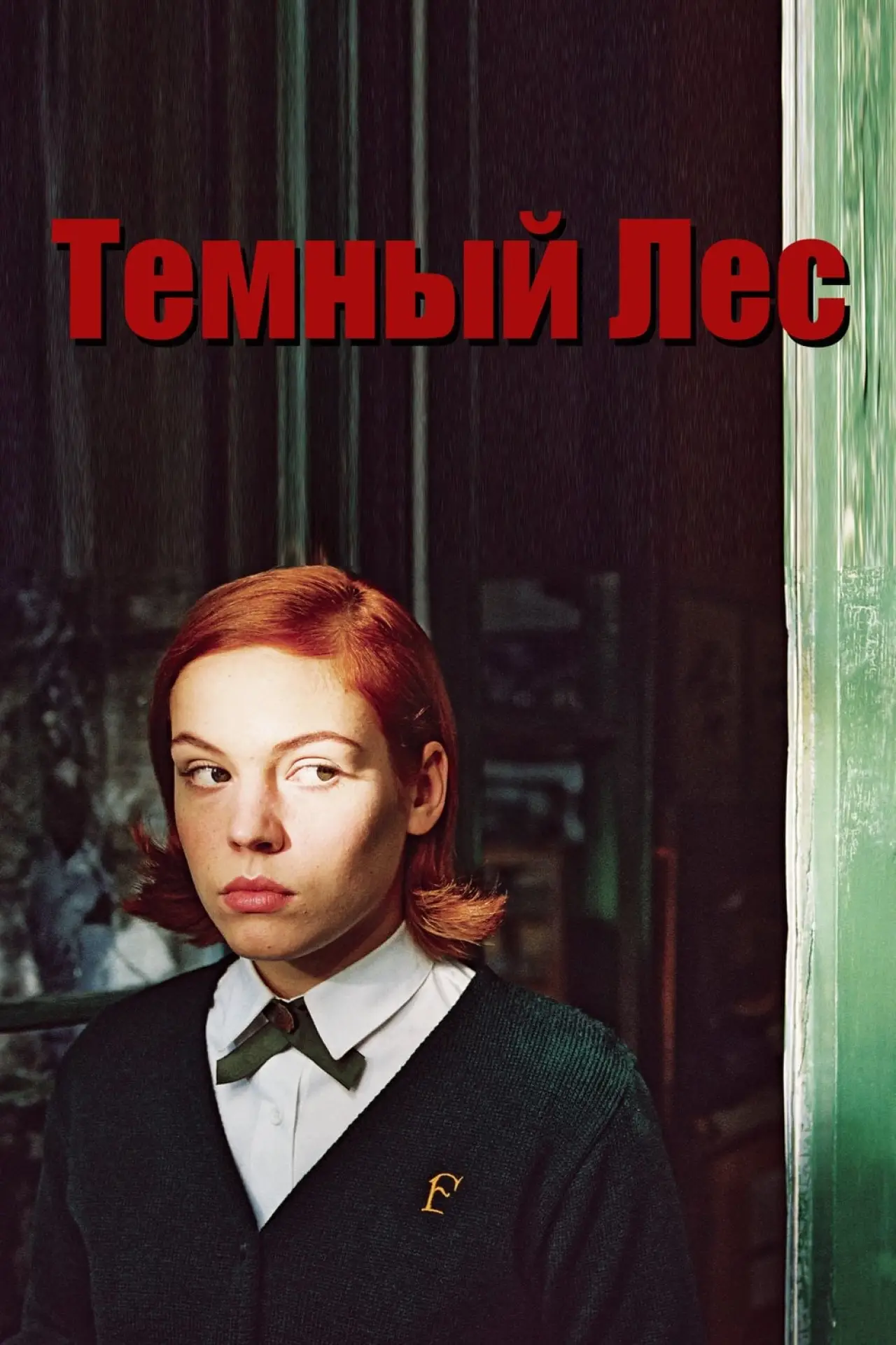 Постер к фильму "Тёмный лес"