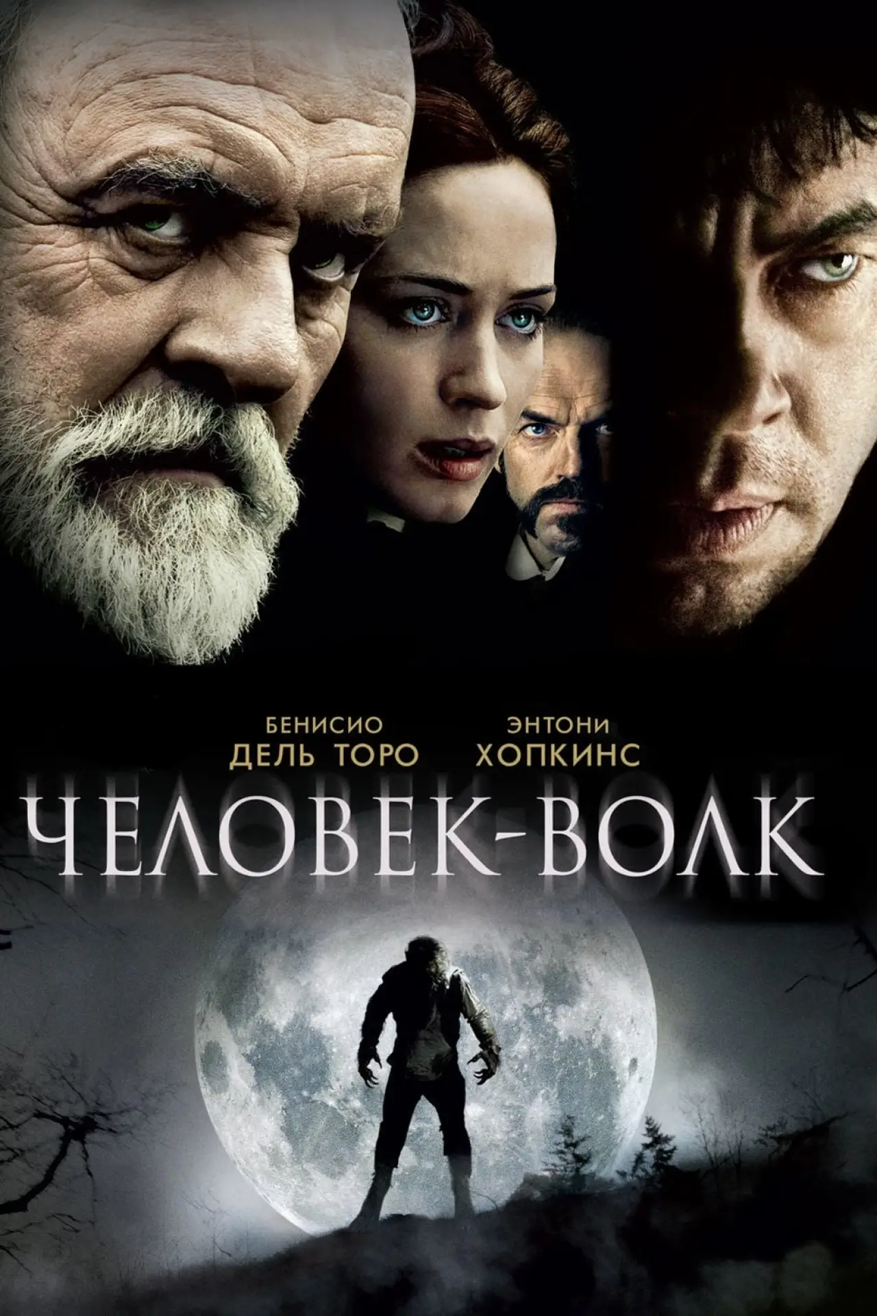Постер к фильму "Человек-волк"