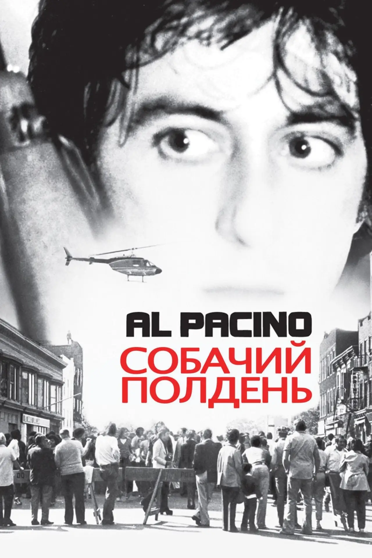 Постер к фильму "Собачий полдень"