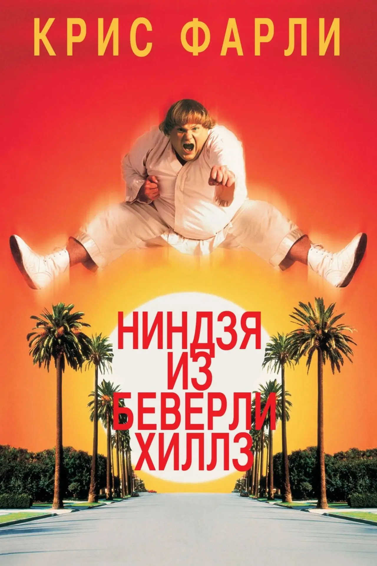 Постер к фильму "Ниндзя из Беверли Хиллз"