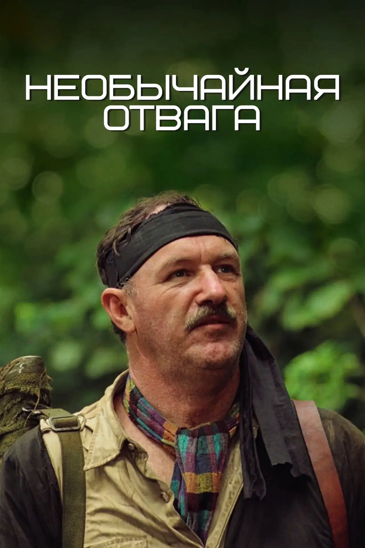 Постер к фильму "Необычайная отвага"