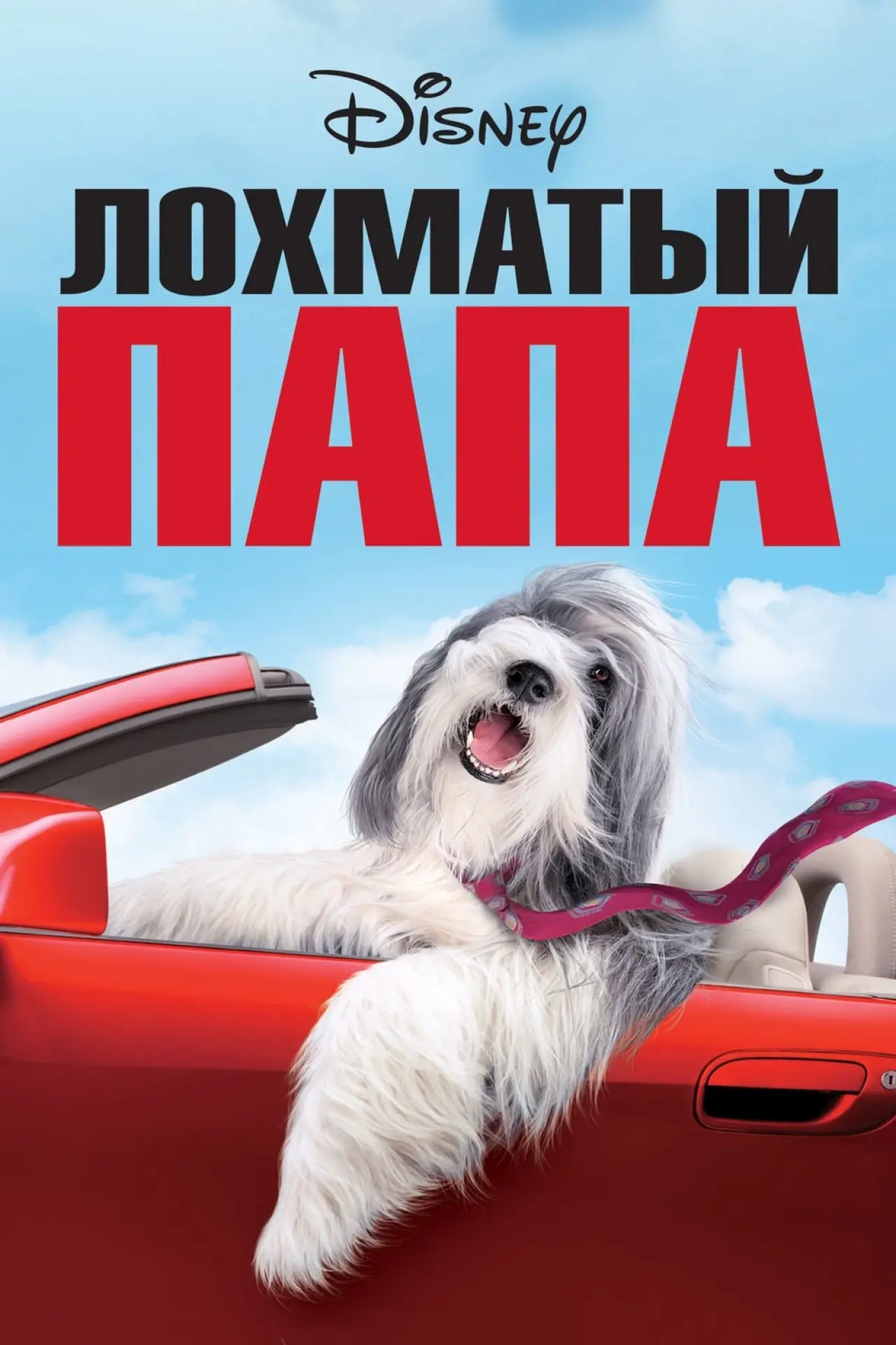 Постер к фильму "Лохматый папа"