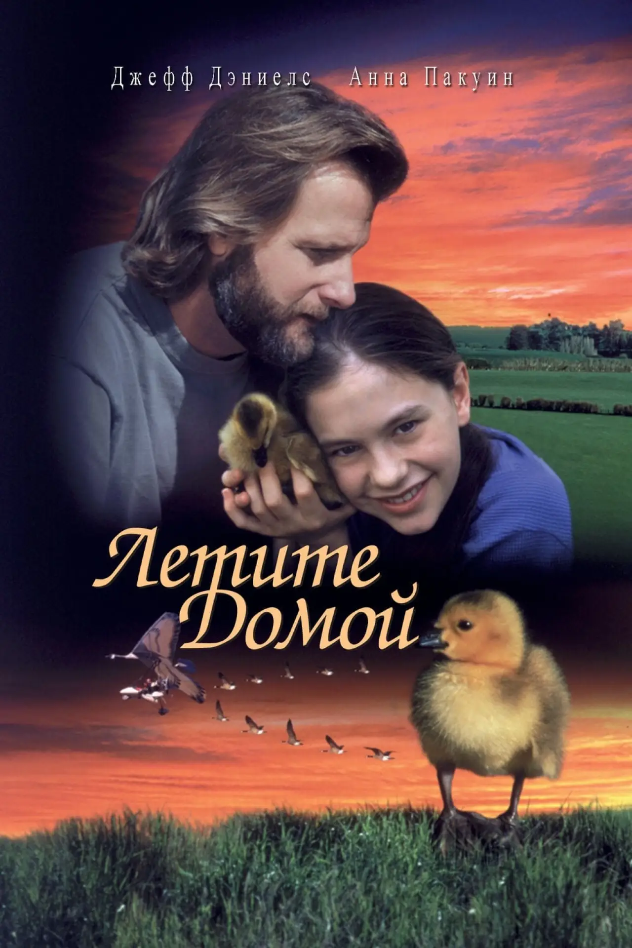 Постер к фильму "Летите домой"