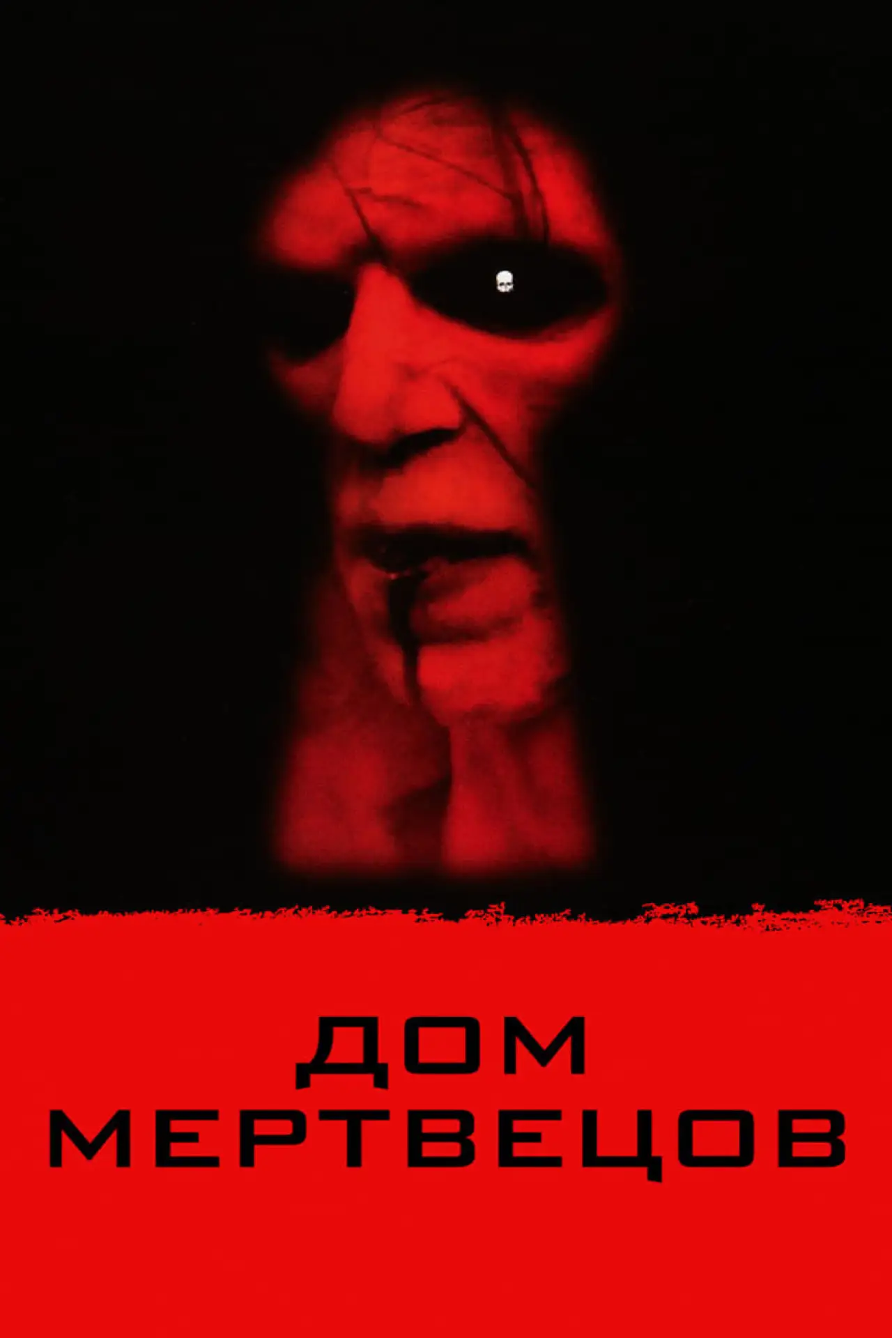 Постер к фильму "Дом мертвецов"