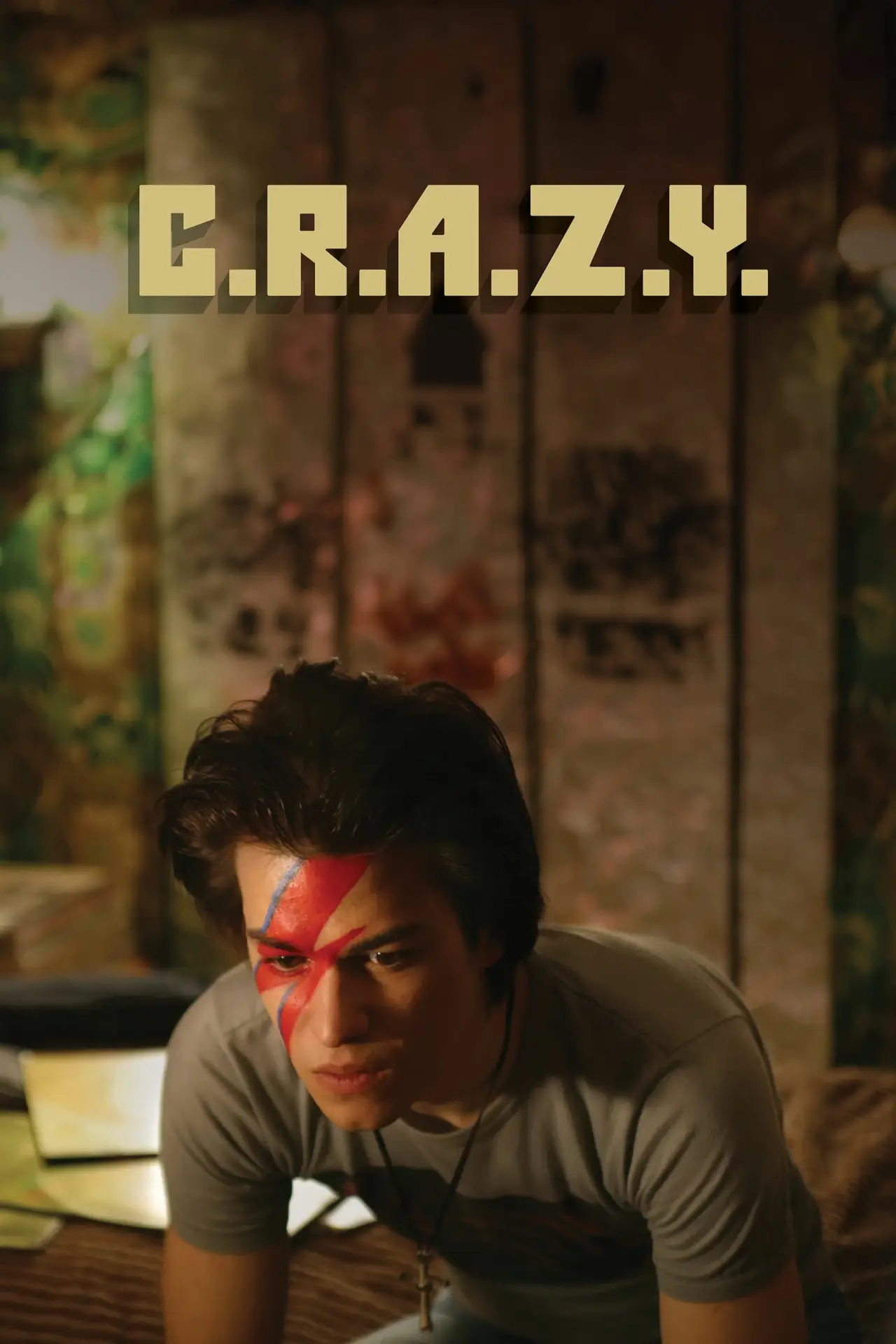 Постер к фильму "Братья C.R.A.Z.Y."