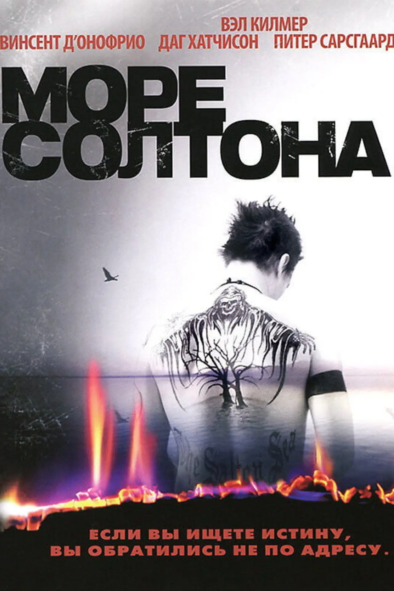 Постер к фильму "Море Солтона"