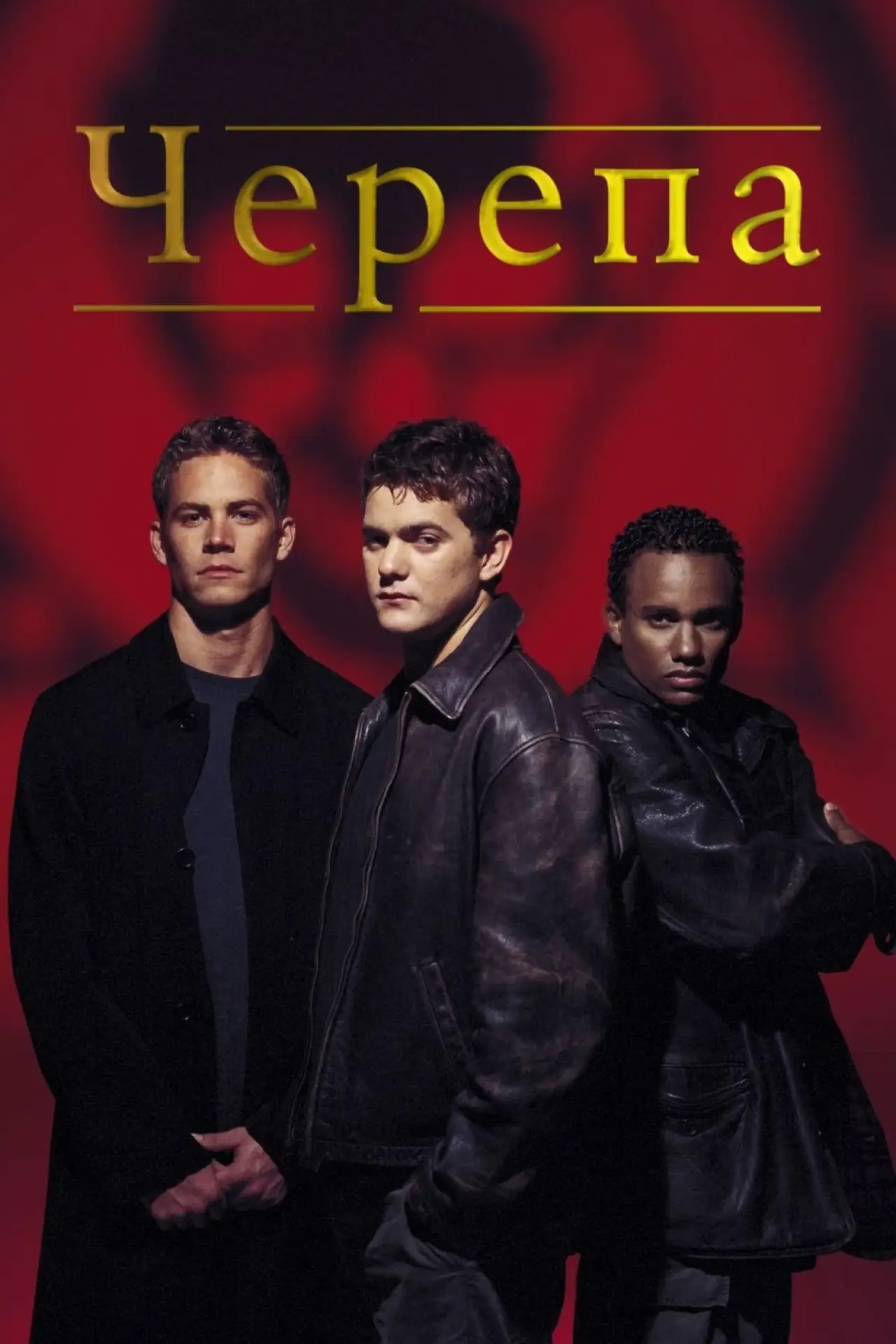 Постер к фильму "Черепа"