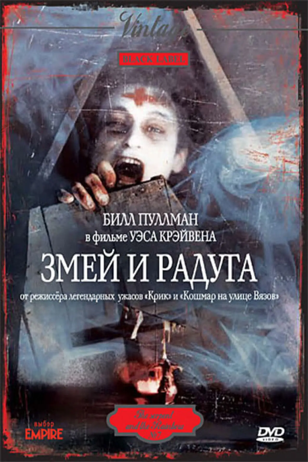 Постер к фильму "Змей и радуга"