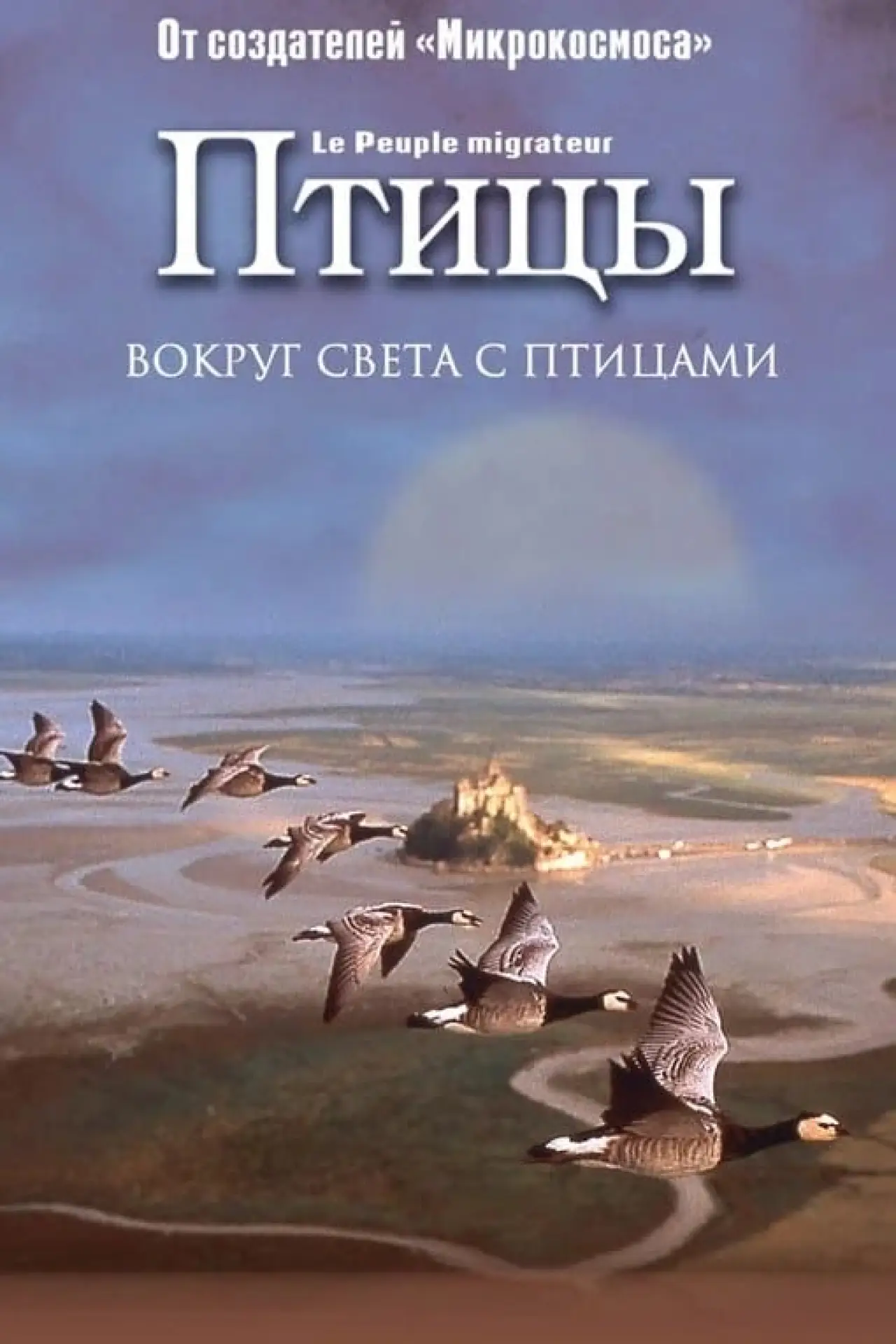 Постер к фильму "Птицы"