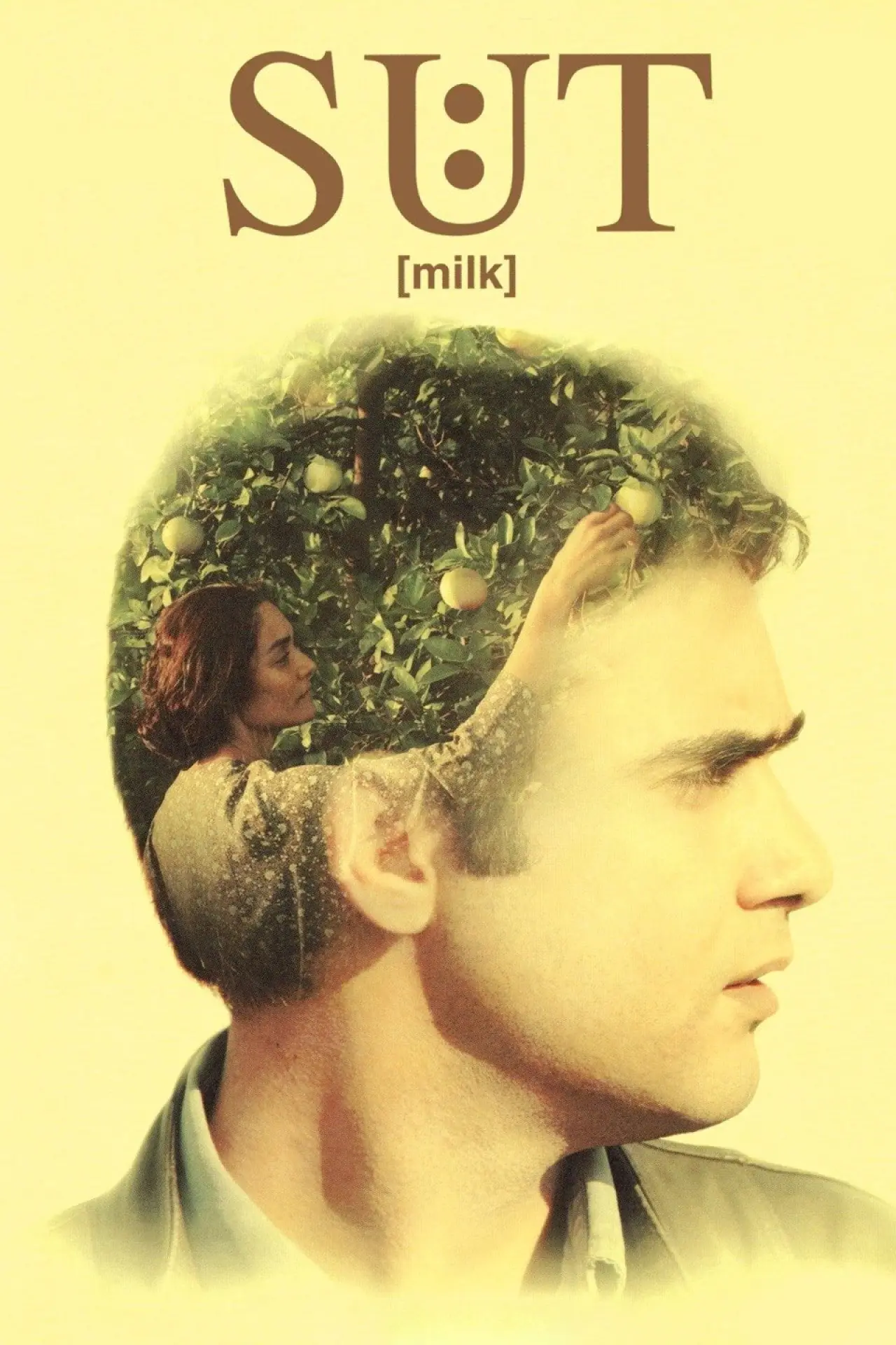 Постер к фильму "Молоко"