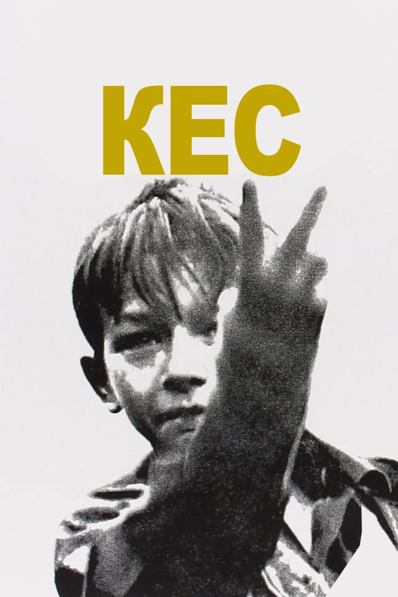 Постер к фильму "Кес"