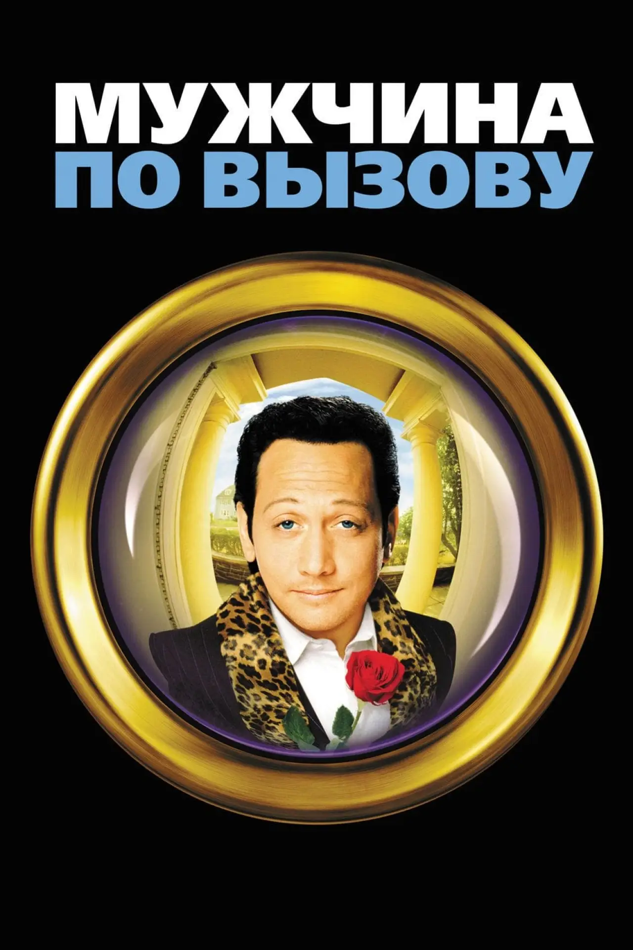 Постер к фильму "Мужчина по вызову"