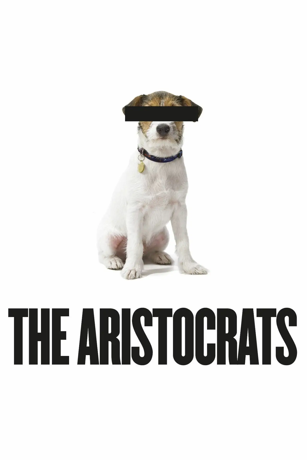 Постер к фильму "Аристократы"