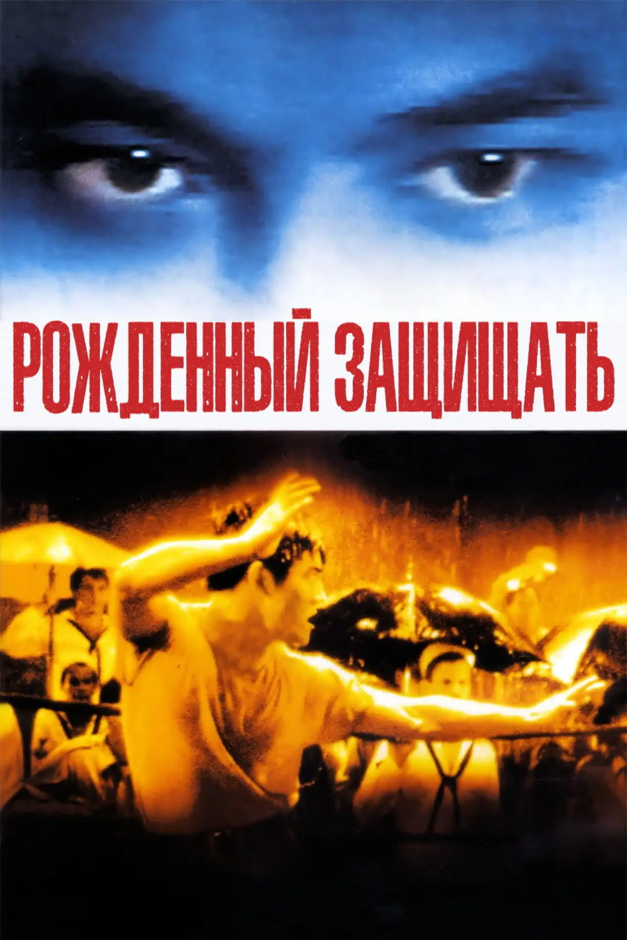 Постер к фильму "Рожденный защищать"