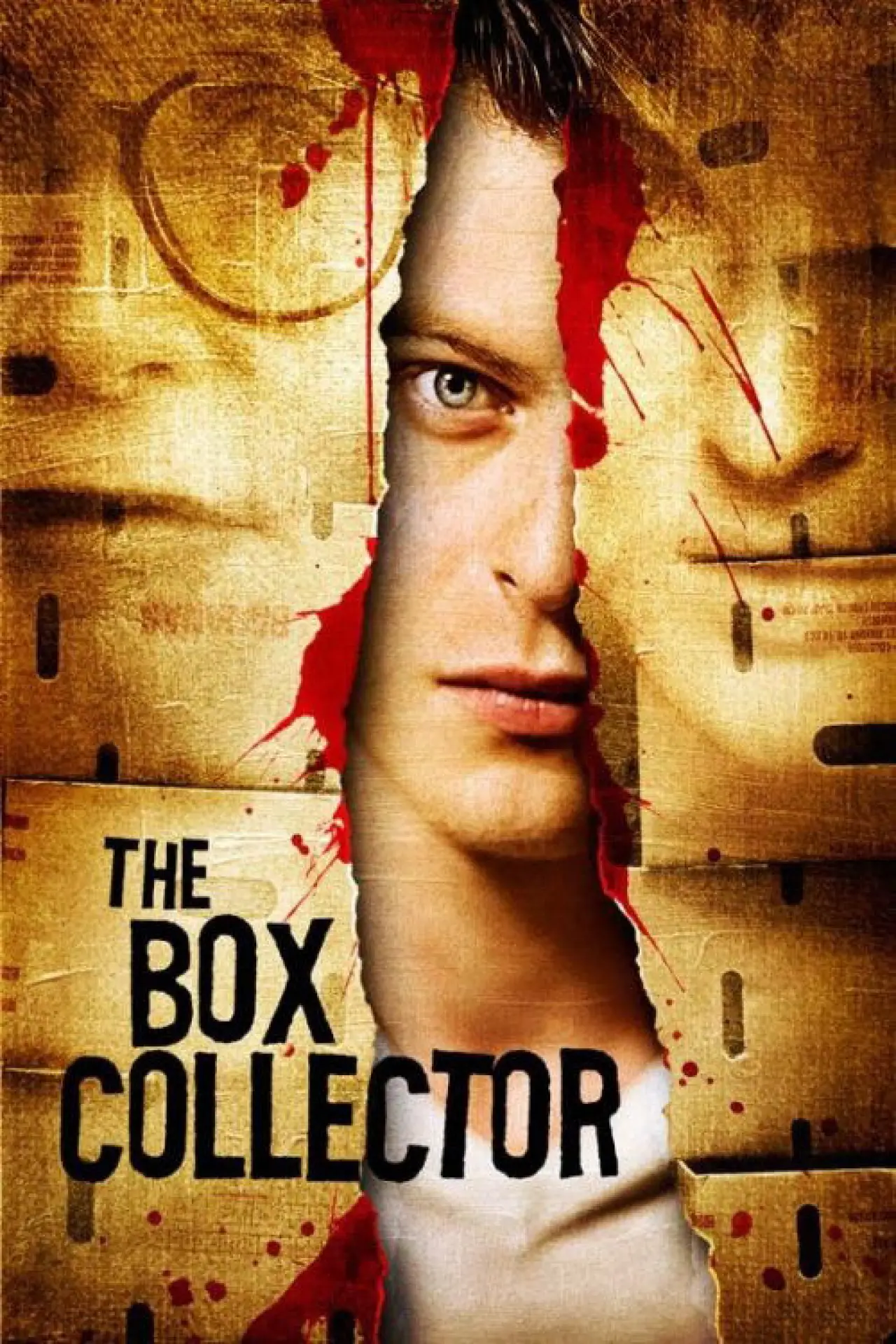 Постер к фильму "The Box Collector"
