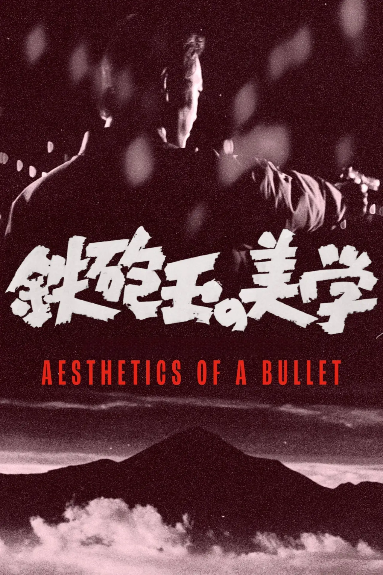 Постер к фильму "鉄砲玉の美学 　"
