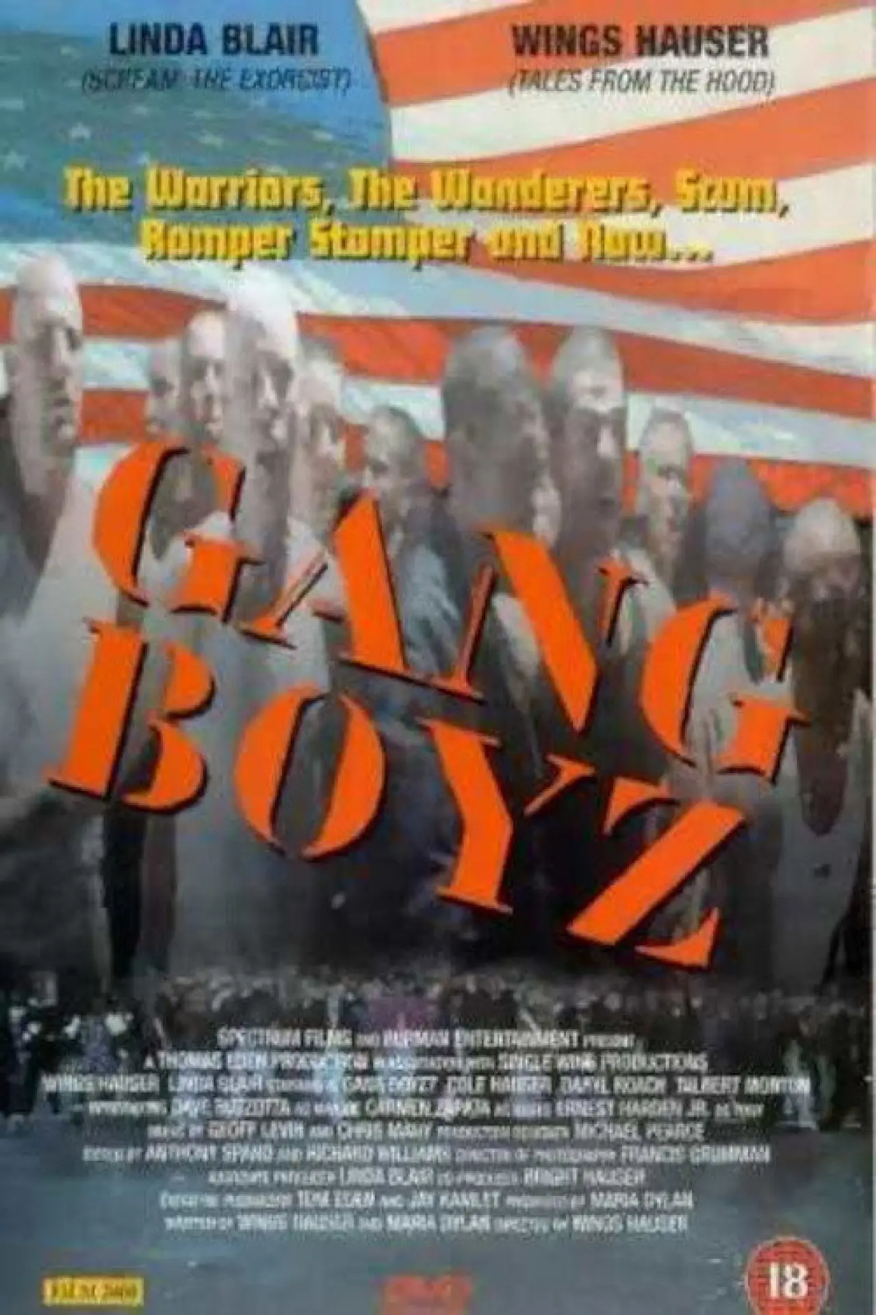 Постер к фильму "Gang Boys"