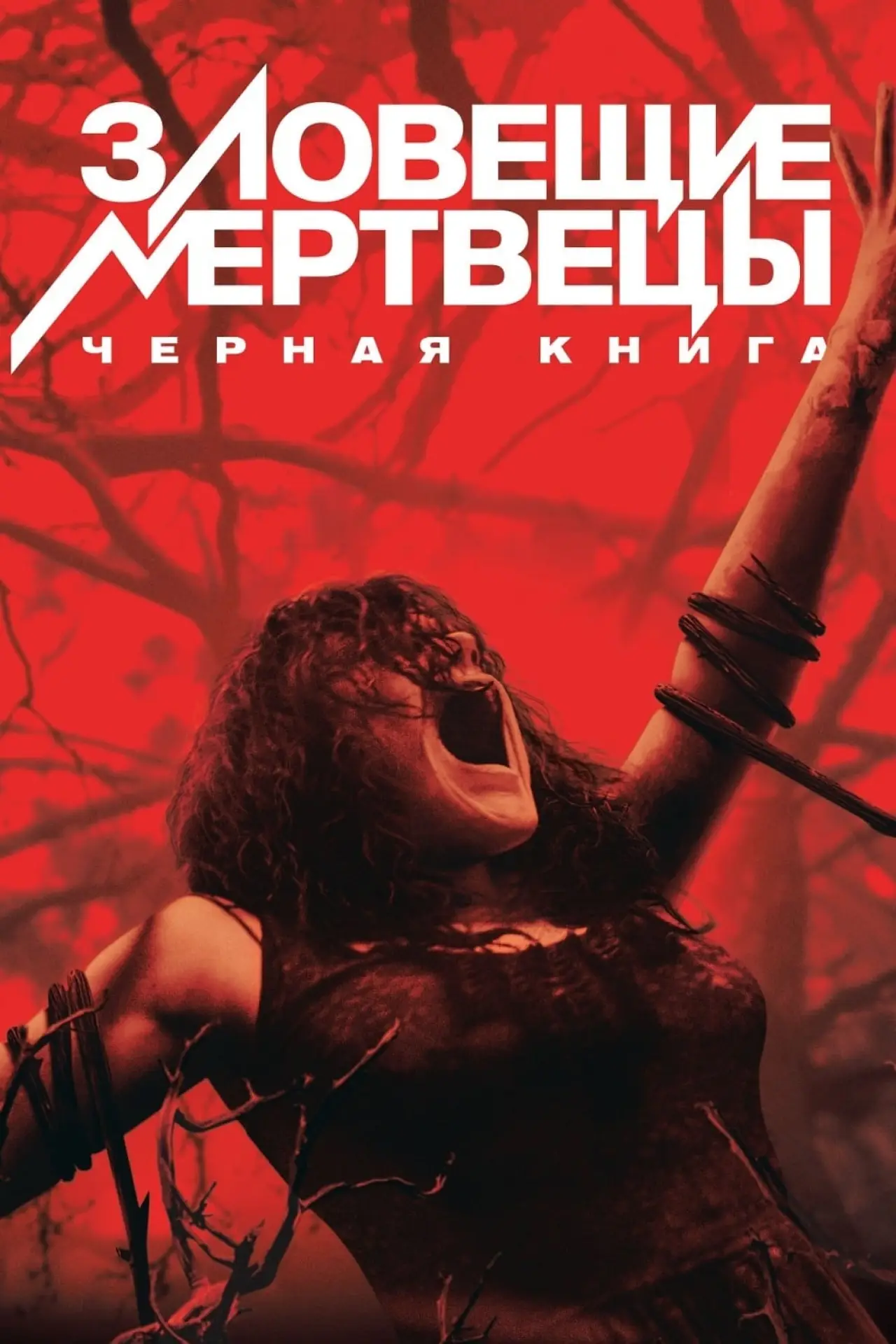 Постер к фильму "Зловещие мертвецы: Черная книга"