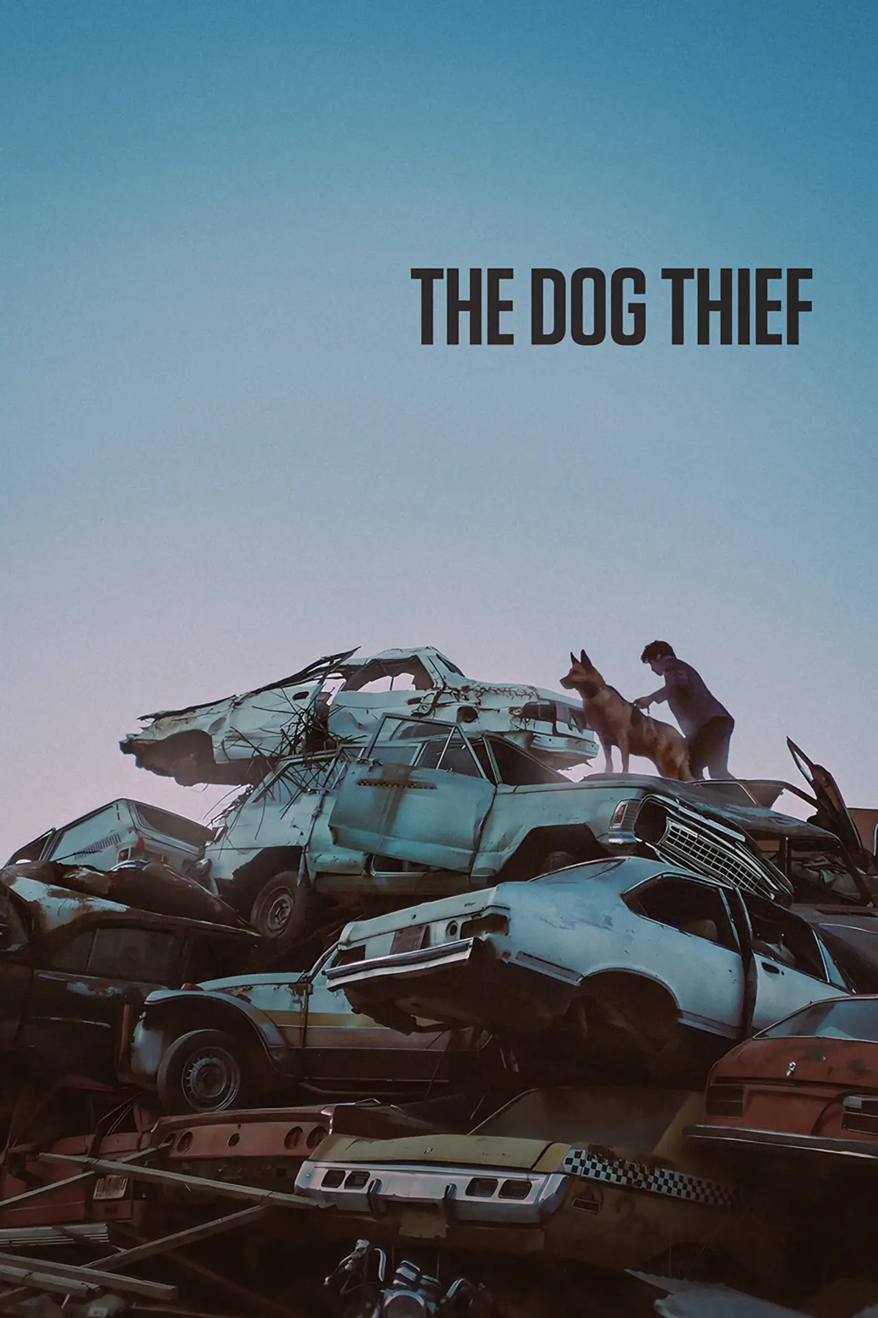 Постер к фильму "El Ladrón de Perros"