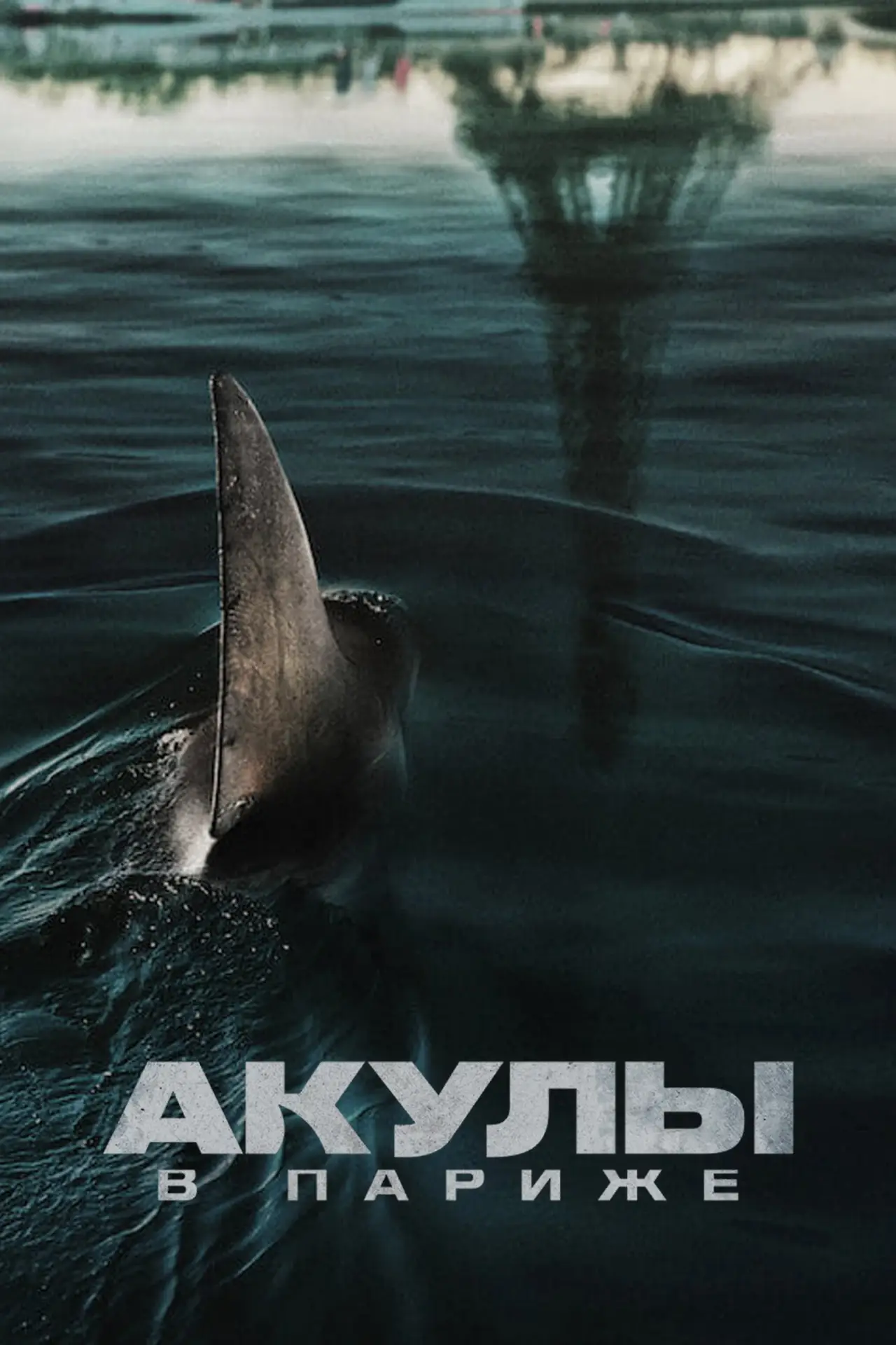 Постер к фильму "Акулы в Париже"