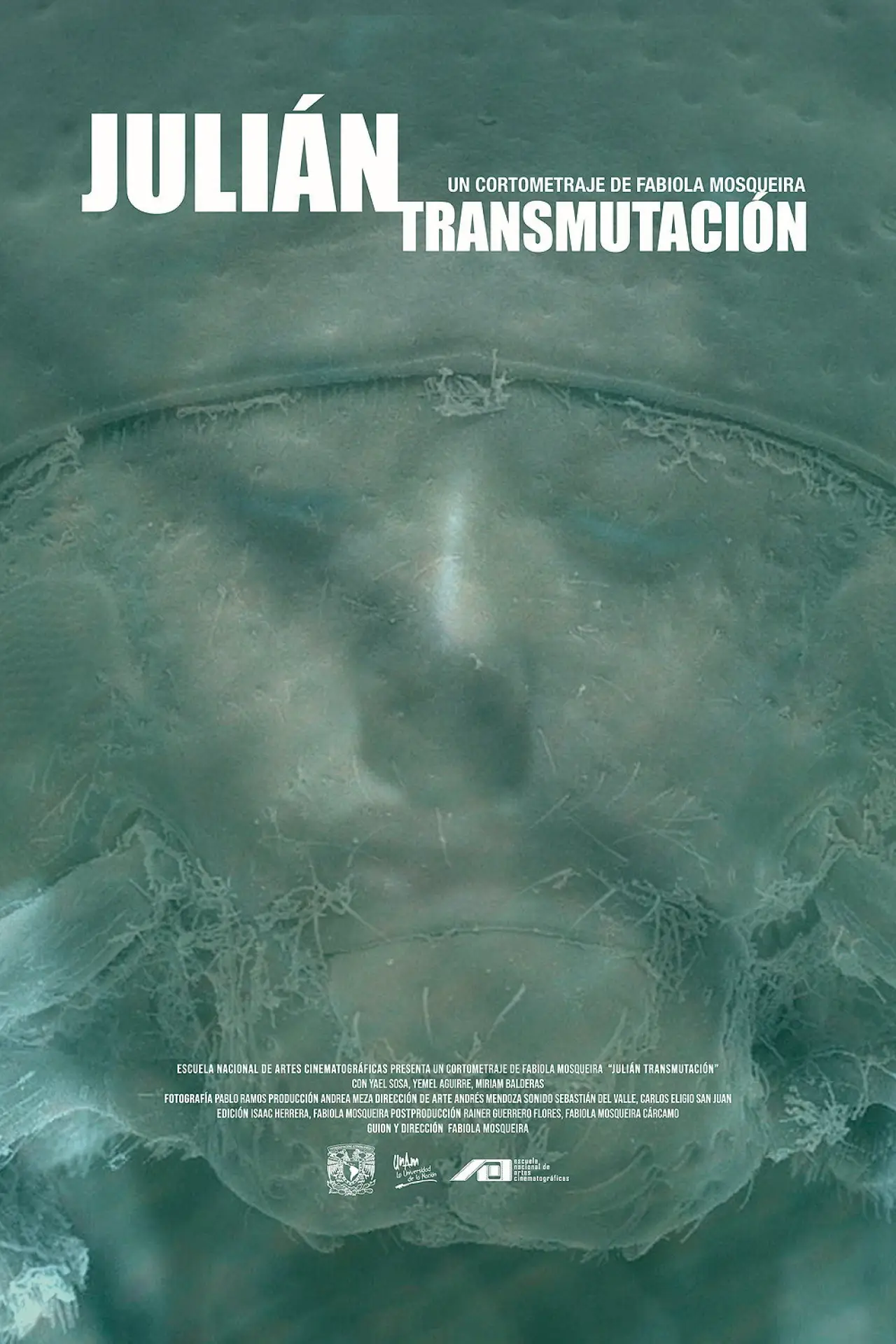 Постер к фильму "Julián (Transmutación)"