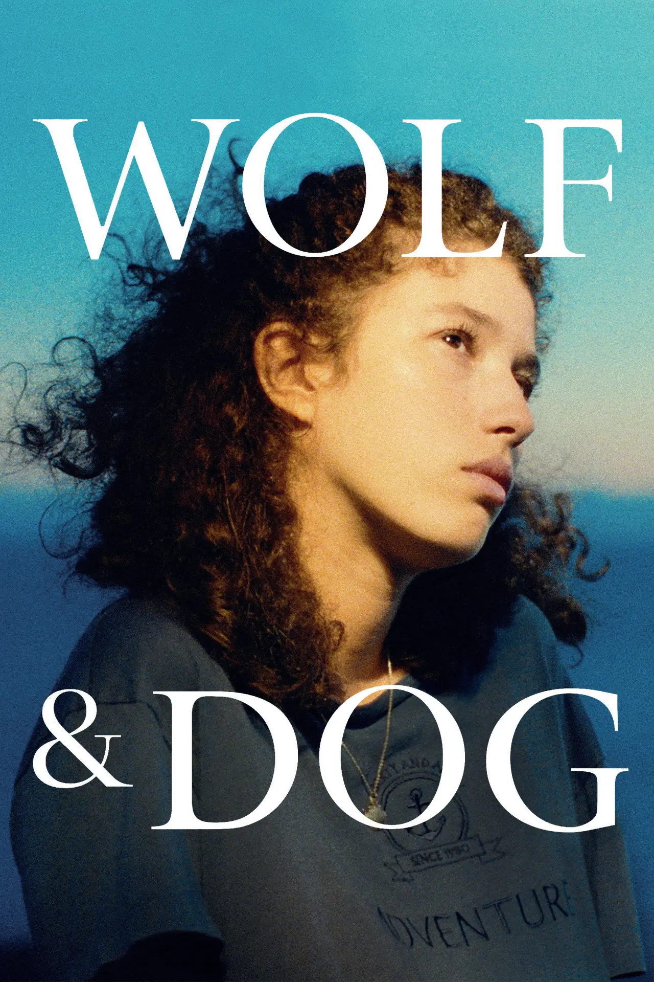 Постер к фильму "Lobo e Cão"