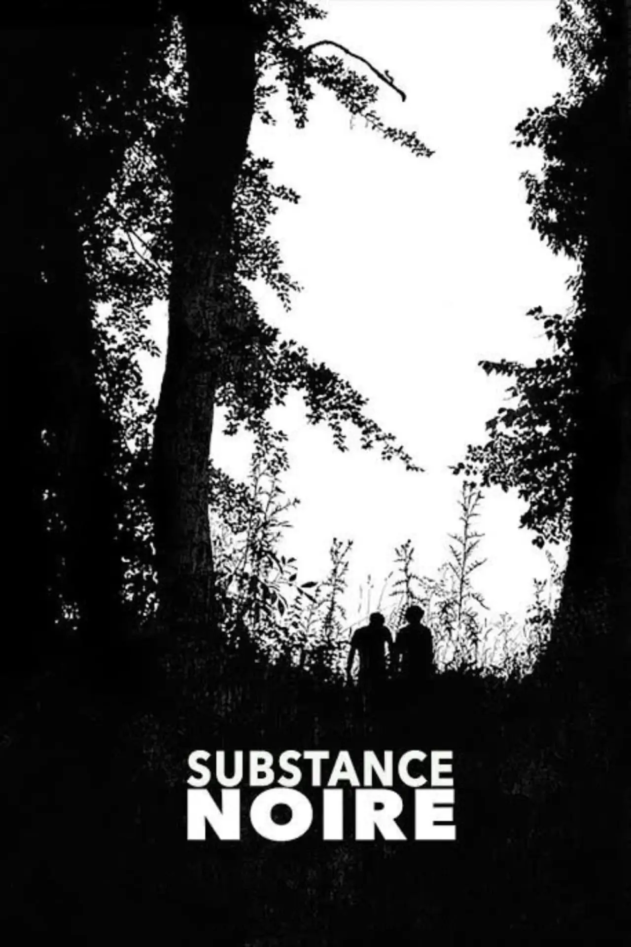 Постер к фильму "Substance noire"