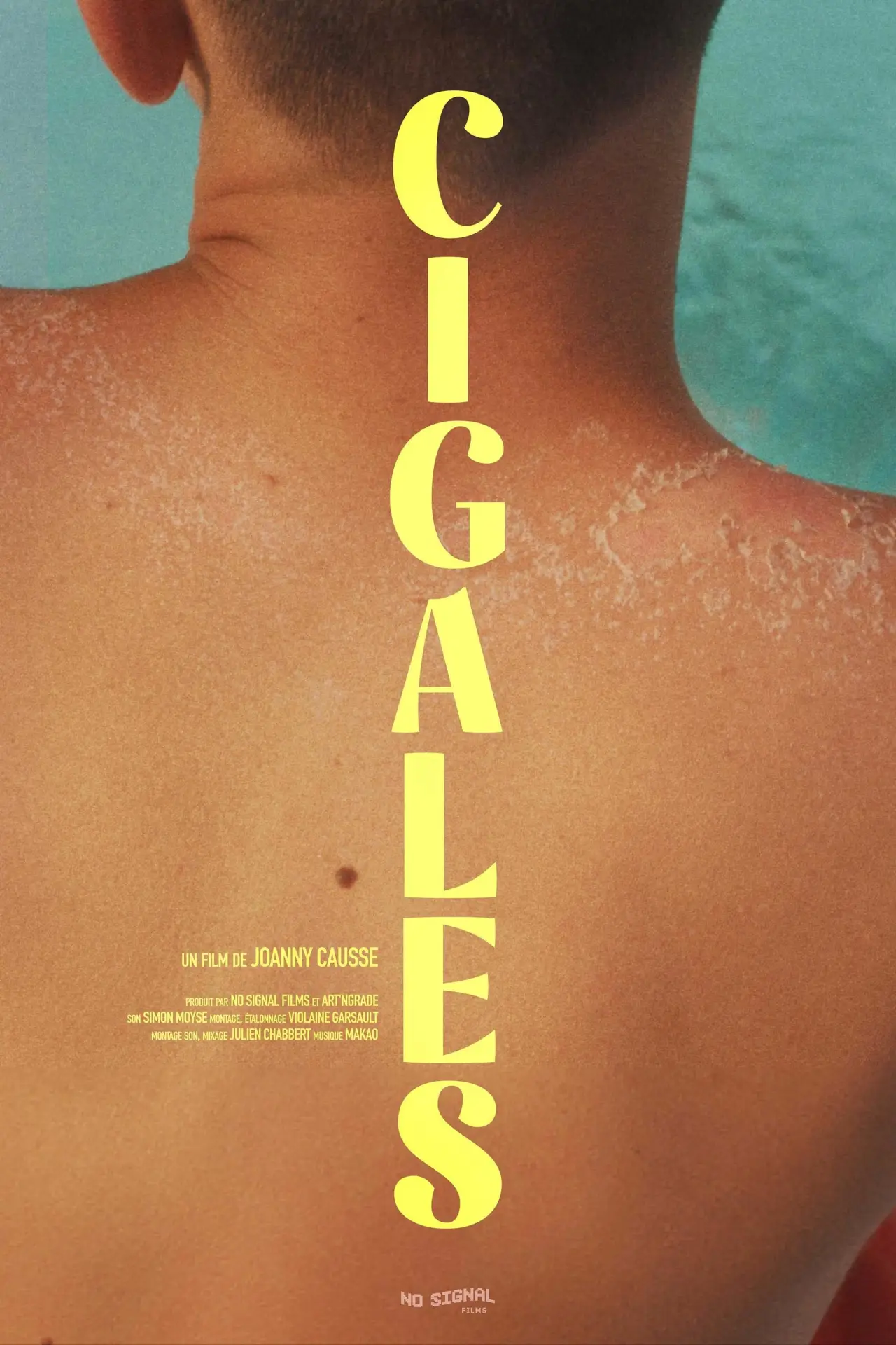 Постер к фильму "Cigales"