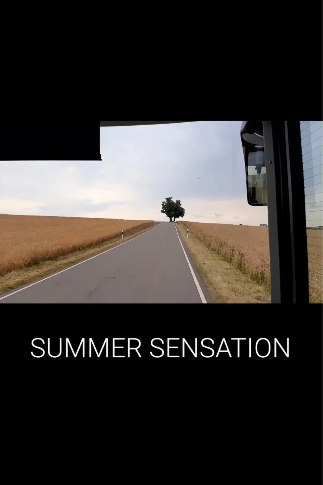 Постер к фильму "Summer Sensation"